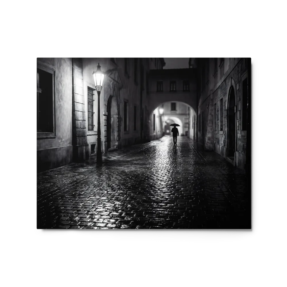 Midnight Promenade 
 Poster with Red oak Frame | 20″x 30″