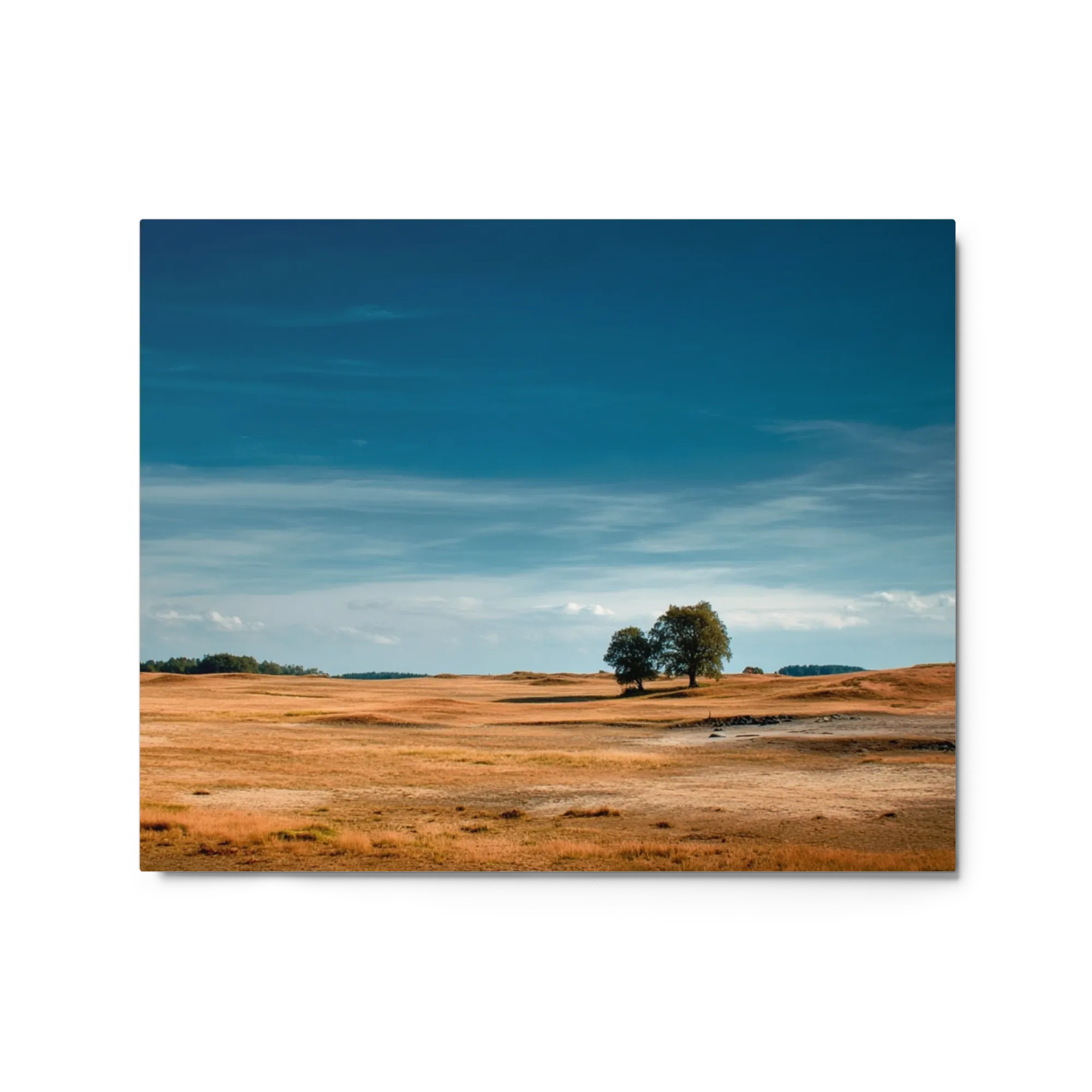 Solitary Horizon