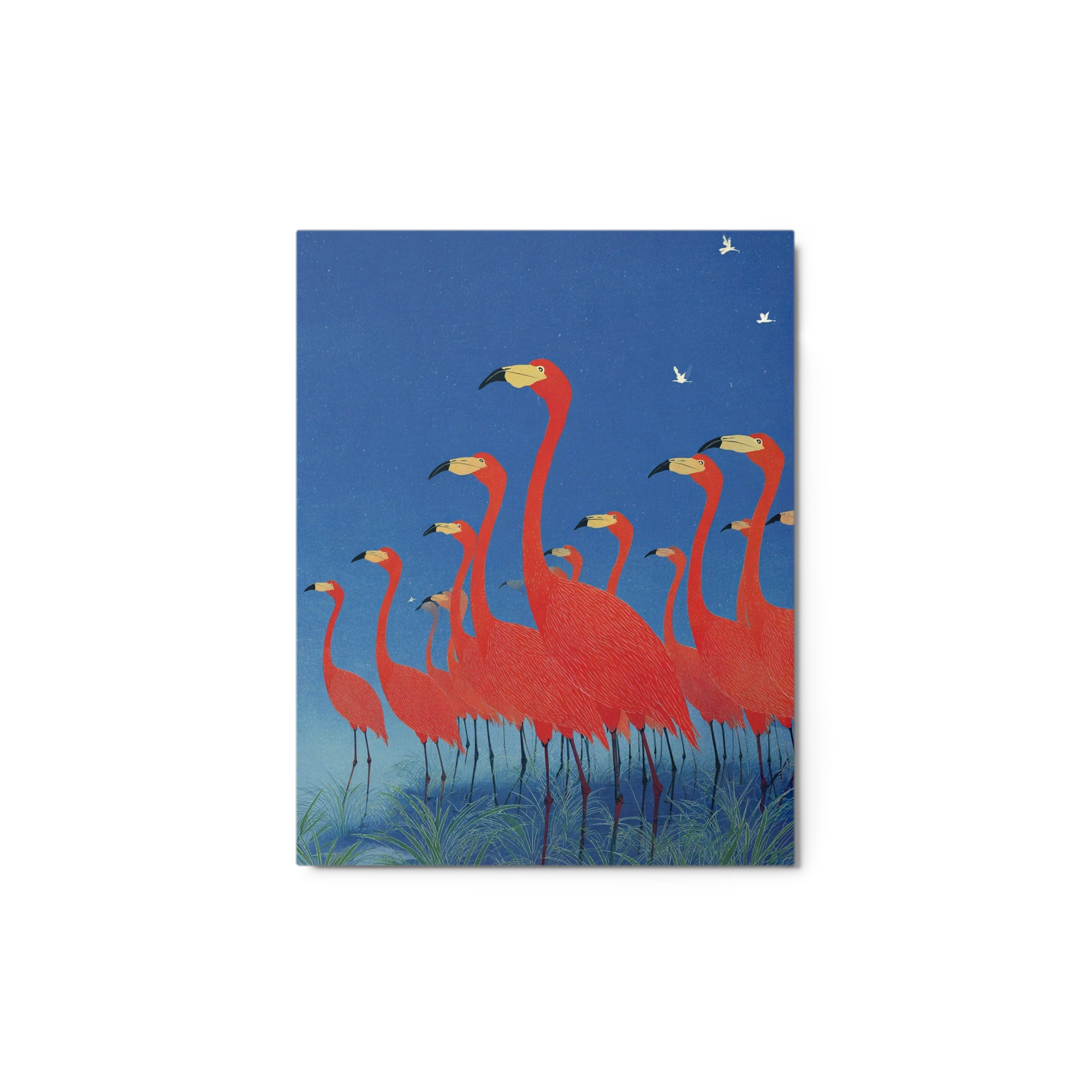Flock of Red Flamingos