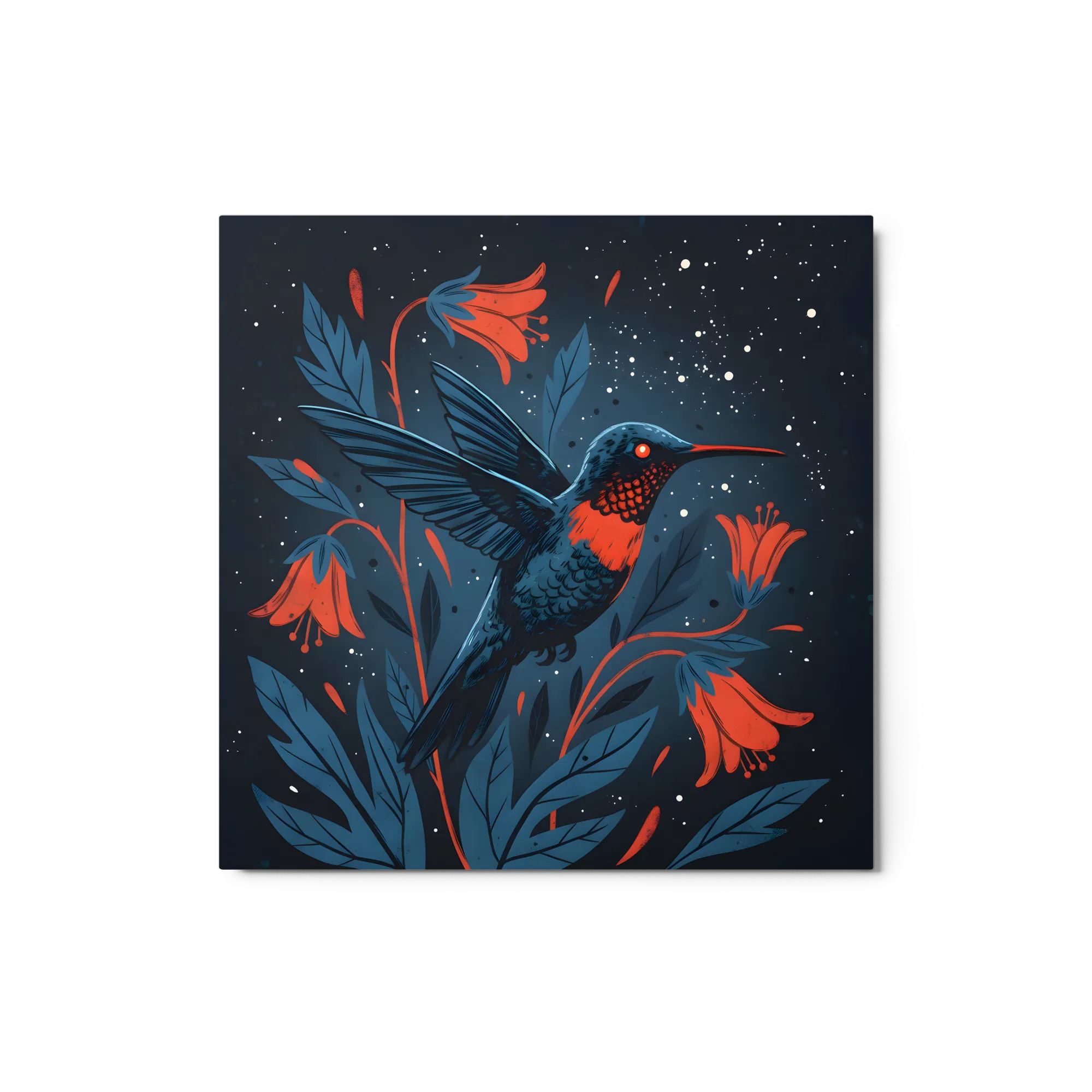 Colibri de Minuit