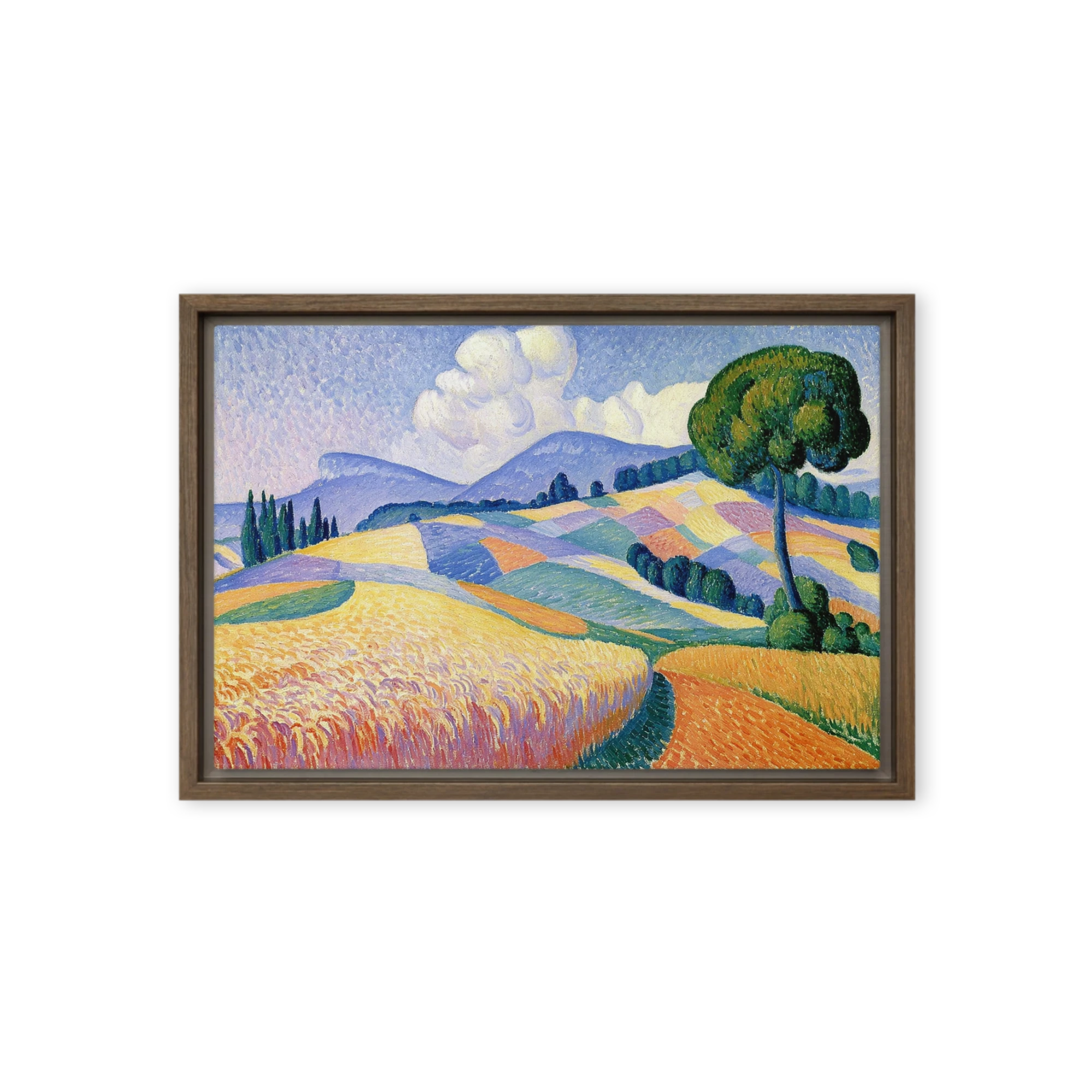 Patchwork Fields and Cypress
