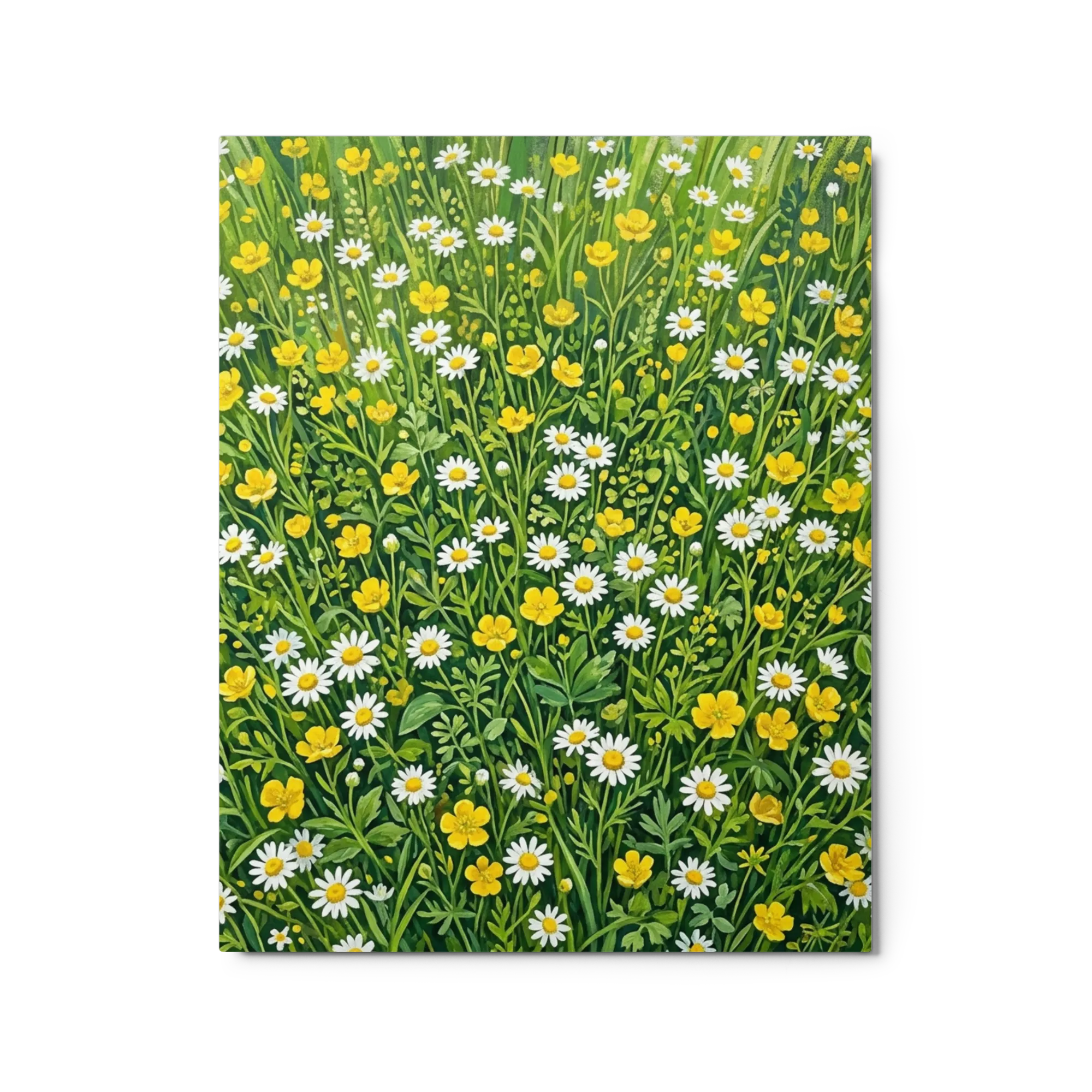 Sunny Meadow of Daisies