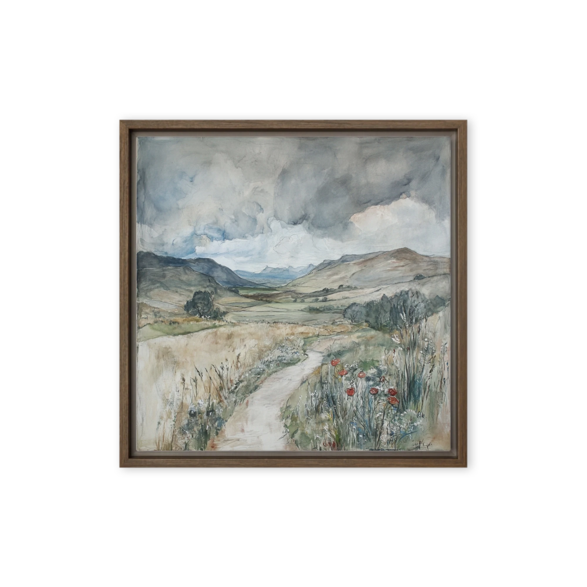 Overcast Valley Path