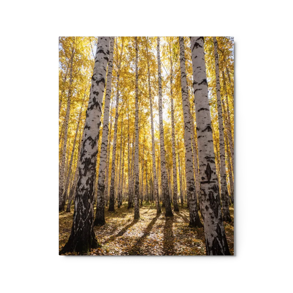 Golden Birch Grove in Autumn