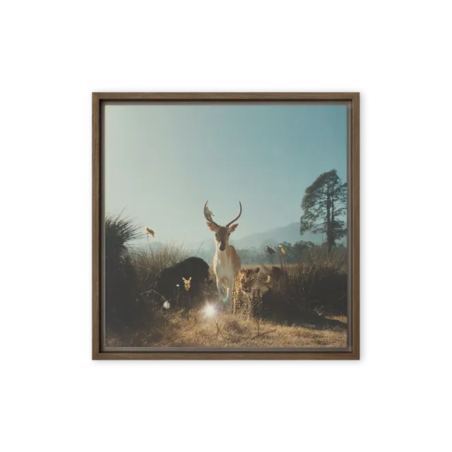Surreal Wildlife Scene | Art Print