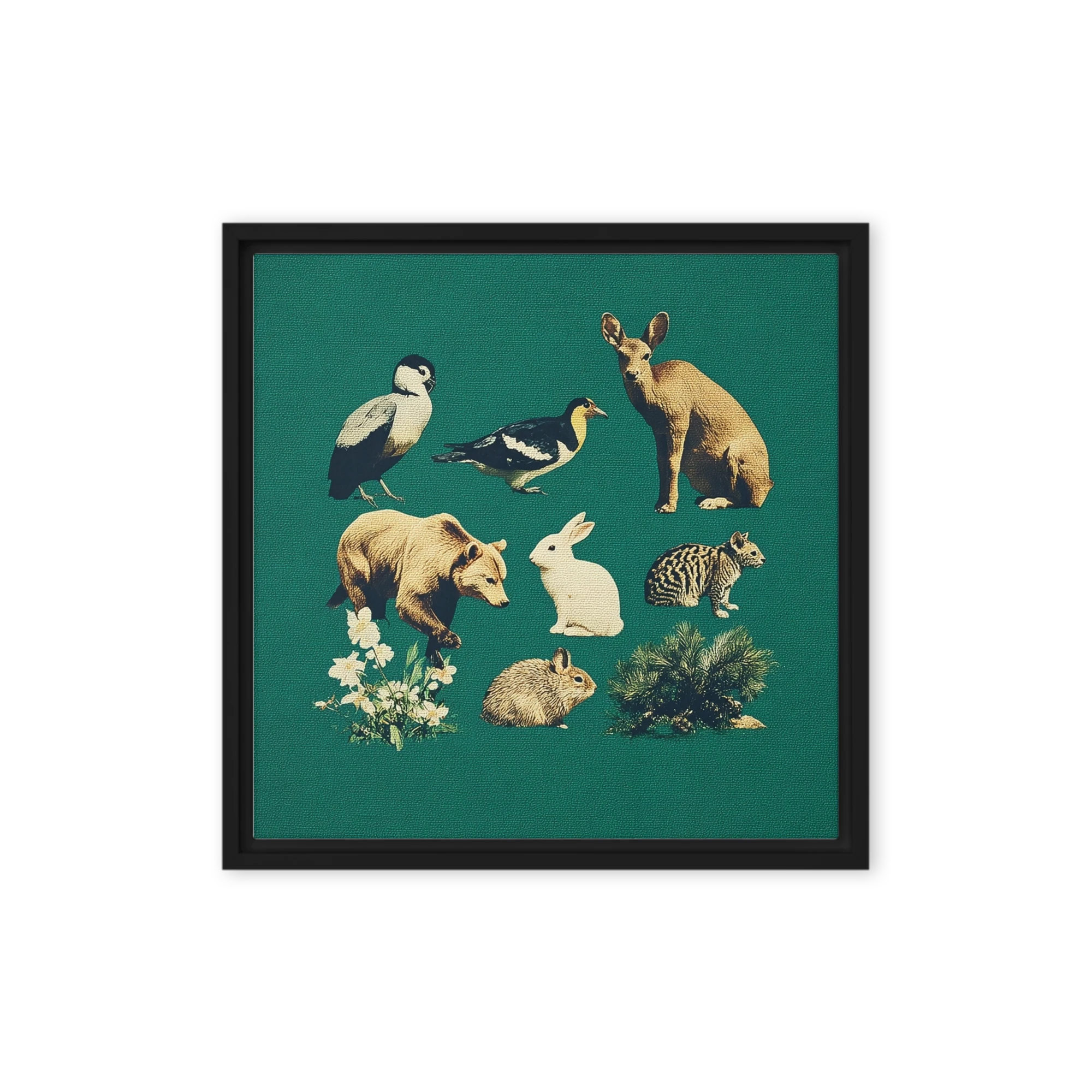Wild Fauna Collection