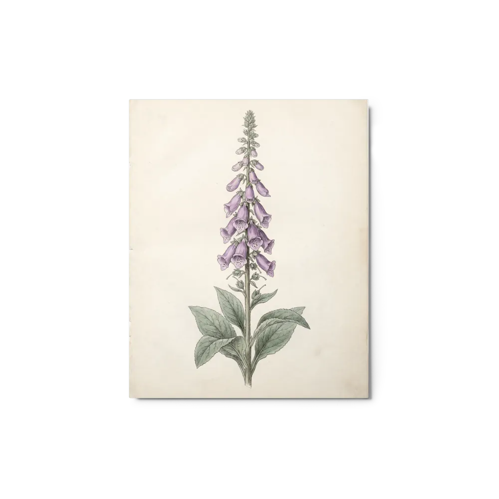 Regal Foxglove Bloom 
 Canvas | 24″x 30″