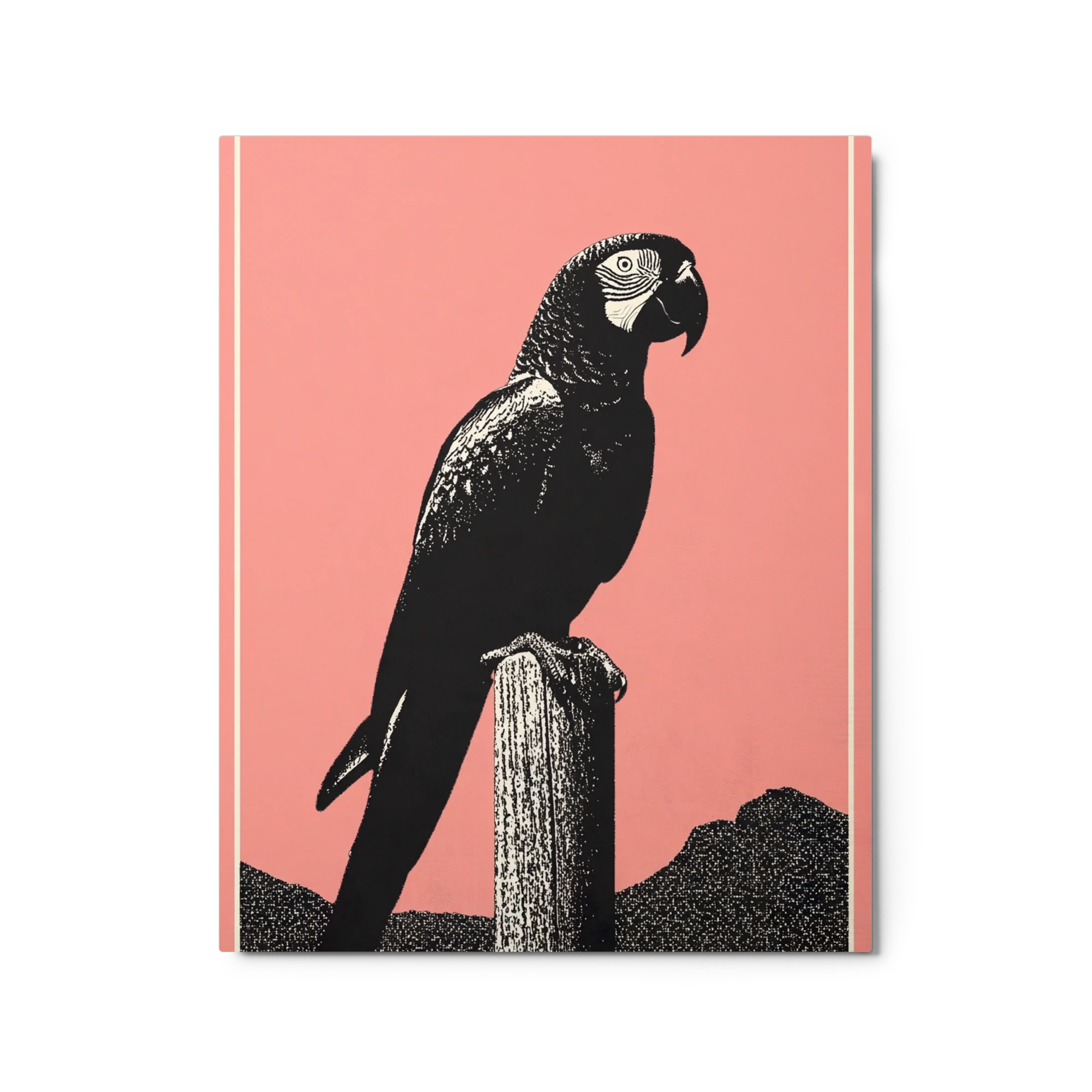 Black Macaw on Pink | Art Print