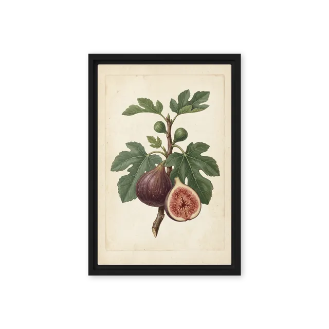Antique Fig Study | Art Print