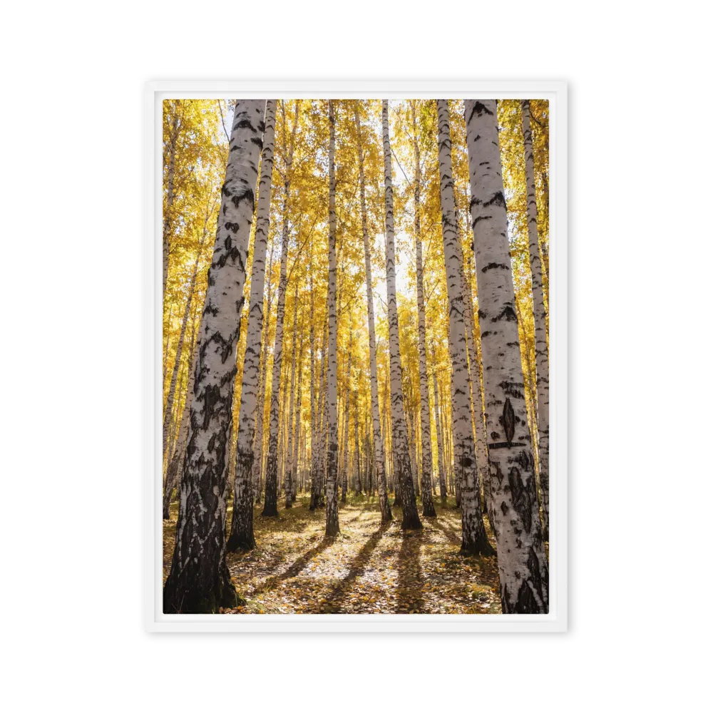 Golden Birch Grove in Autumn 
 Poster with Red oak Frame | 12″x 16″