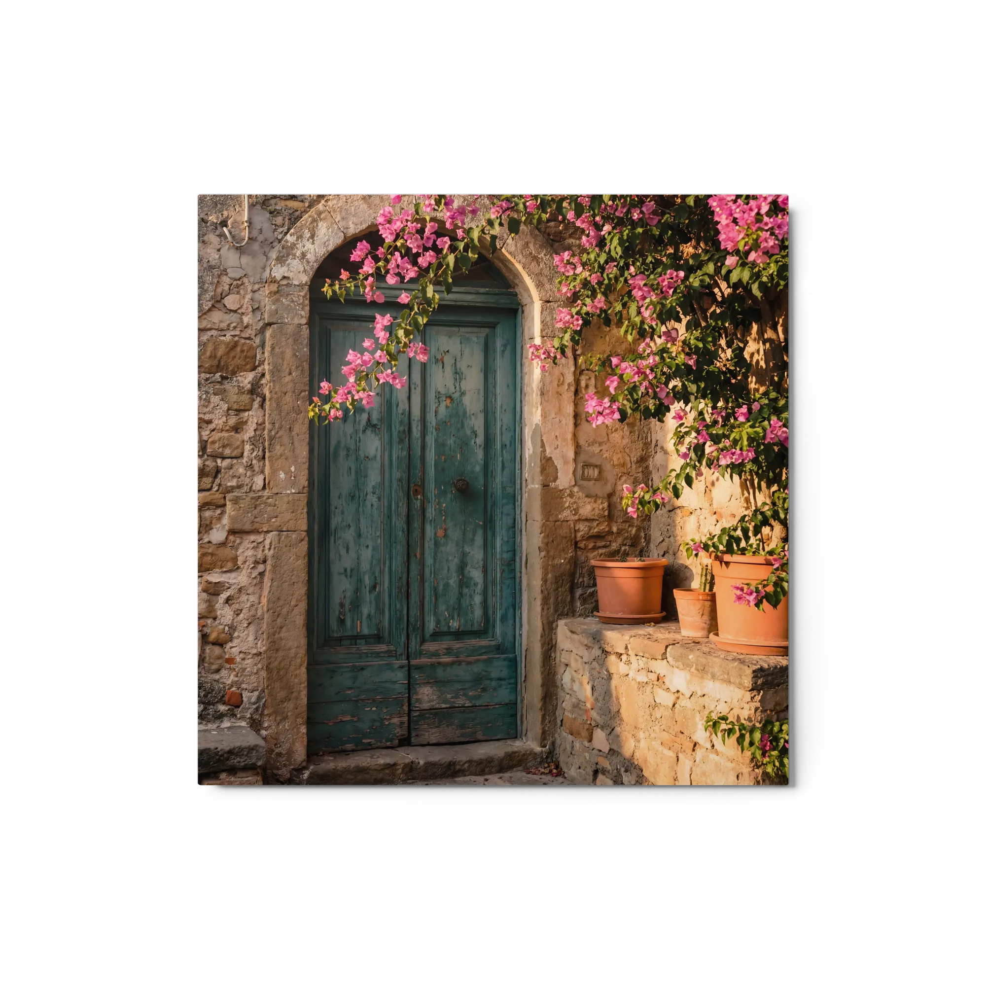 Weathered Door, Bougainvillea