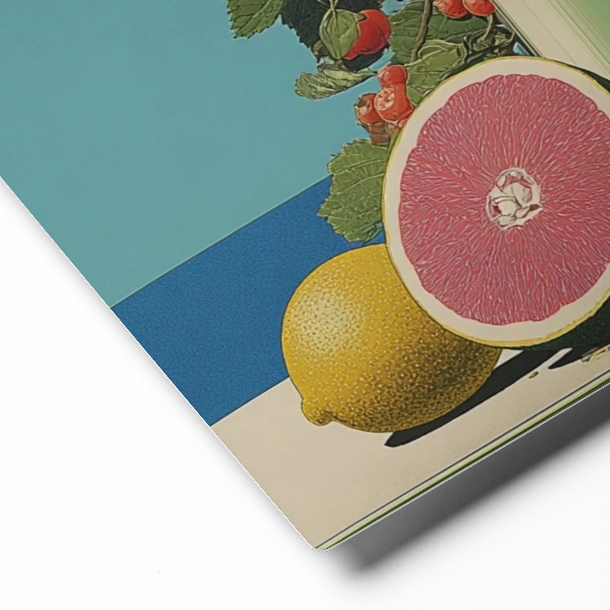 Summer Harvest Still Life 
 Metal Print | 12″x 12″