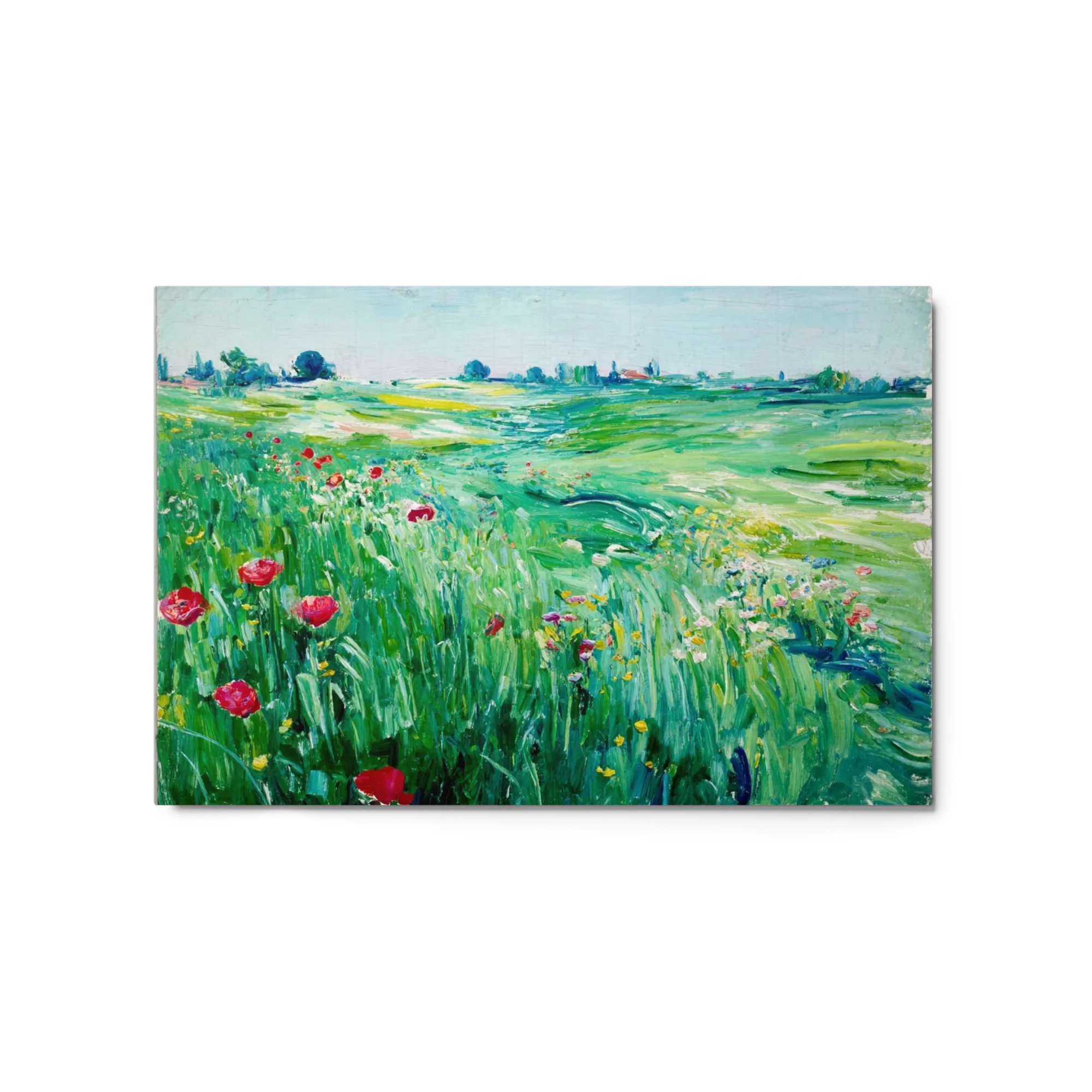 Poppy Fields in Summer