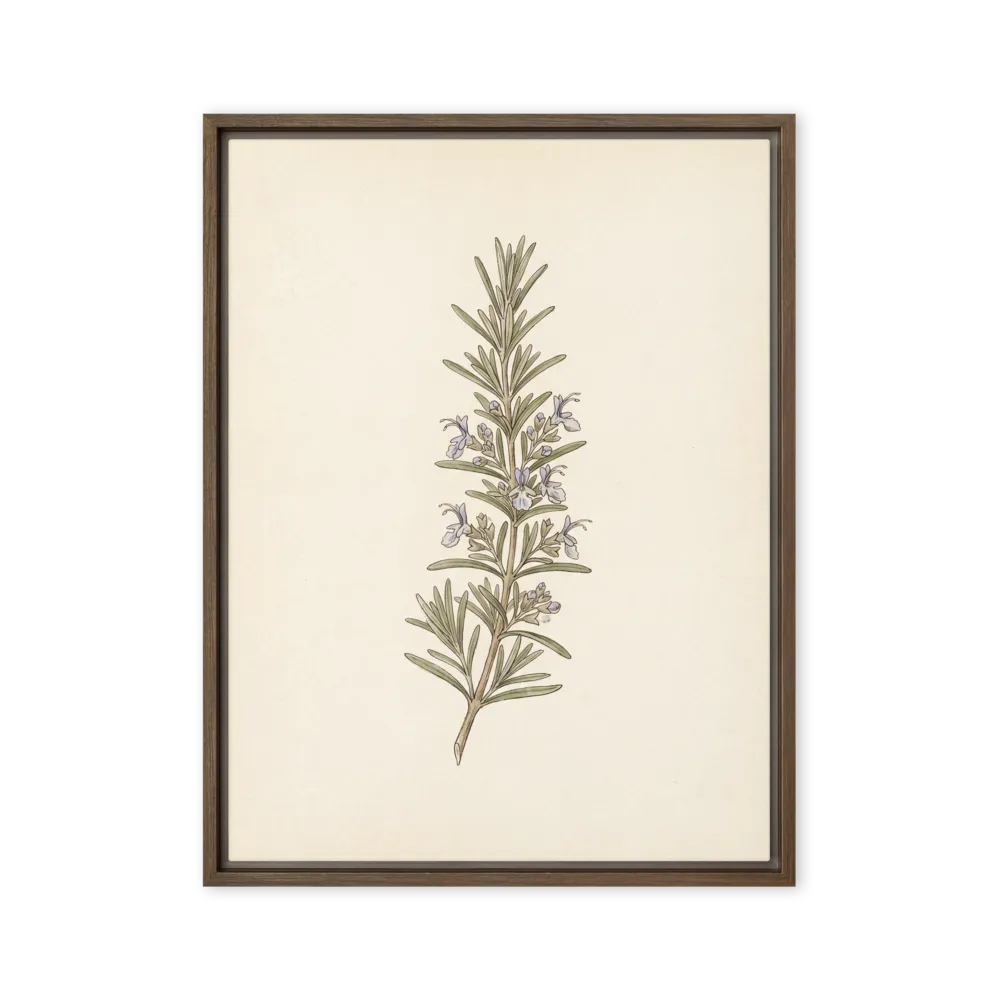 Rosemary Sprig | Art Print