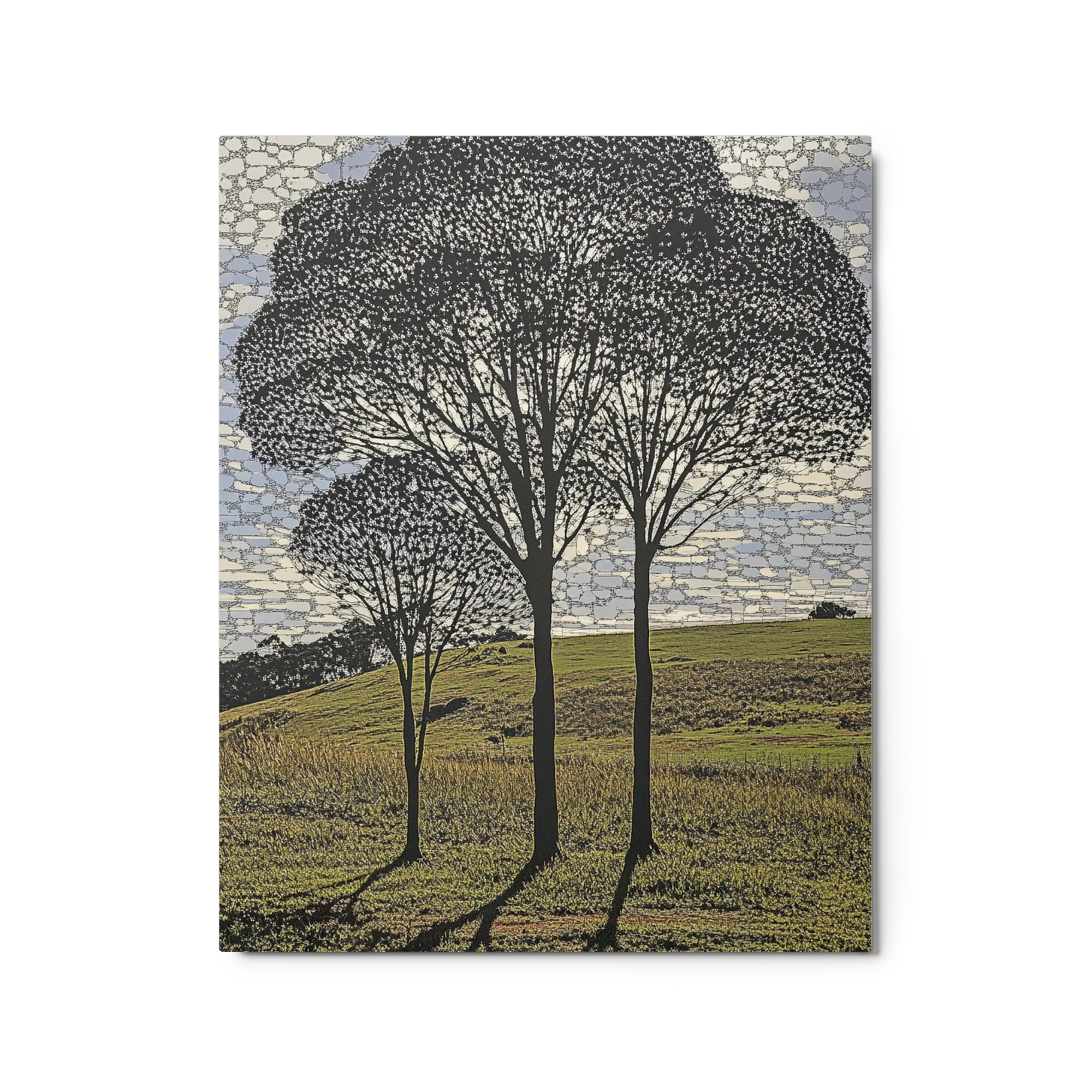 Silhouette of Trees on Landscape