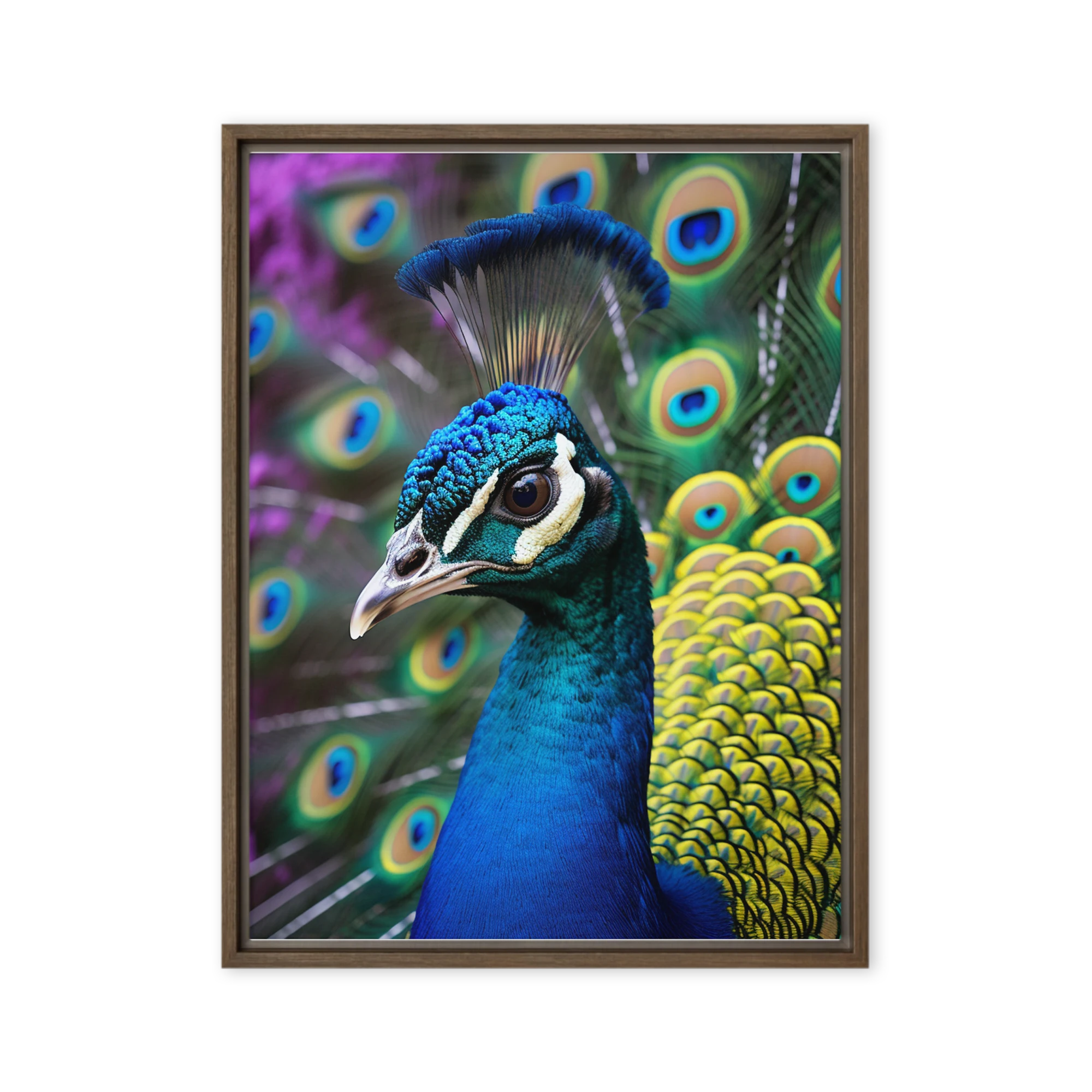 Vibrant Peacock Photography