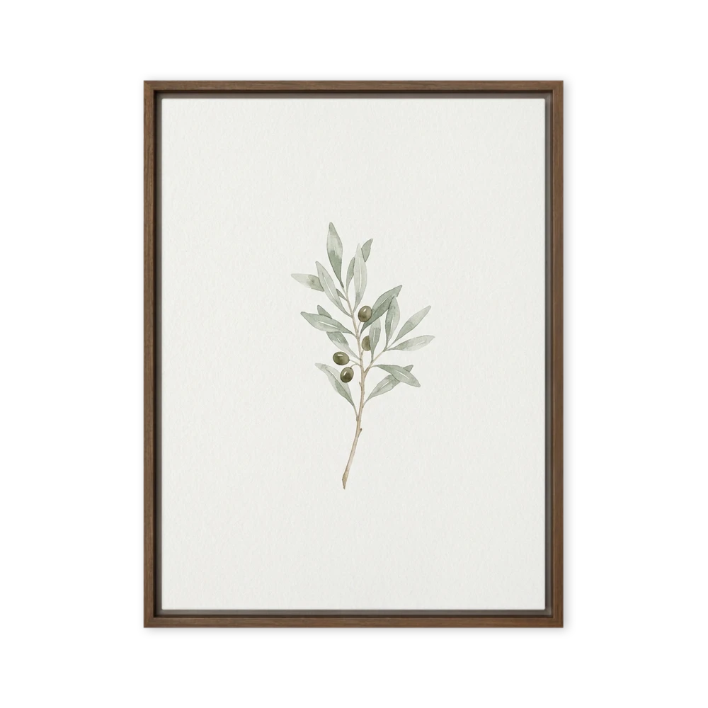 Olive Branch Watercolor | Art Print