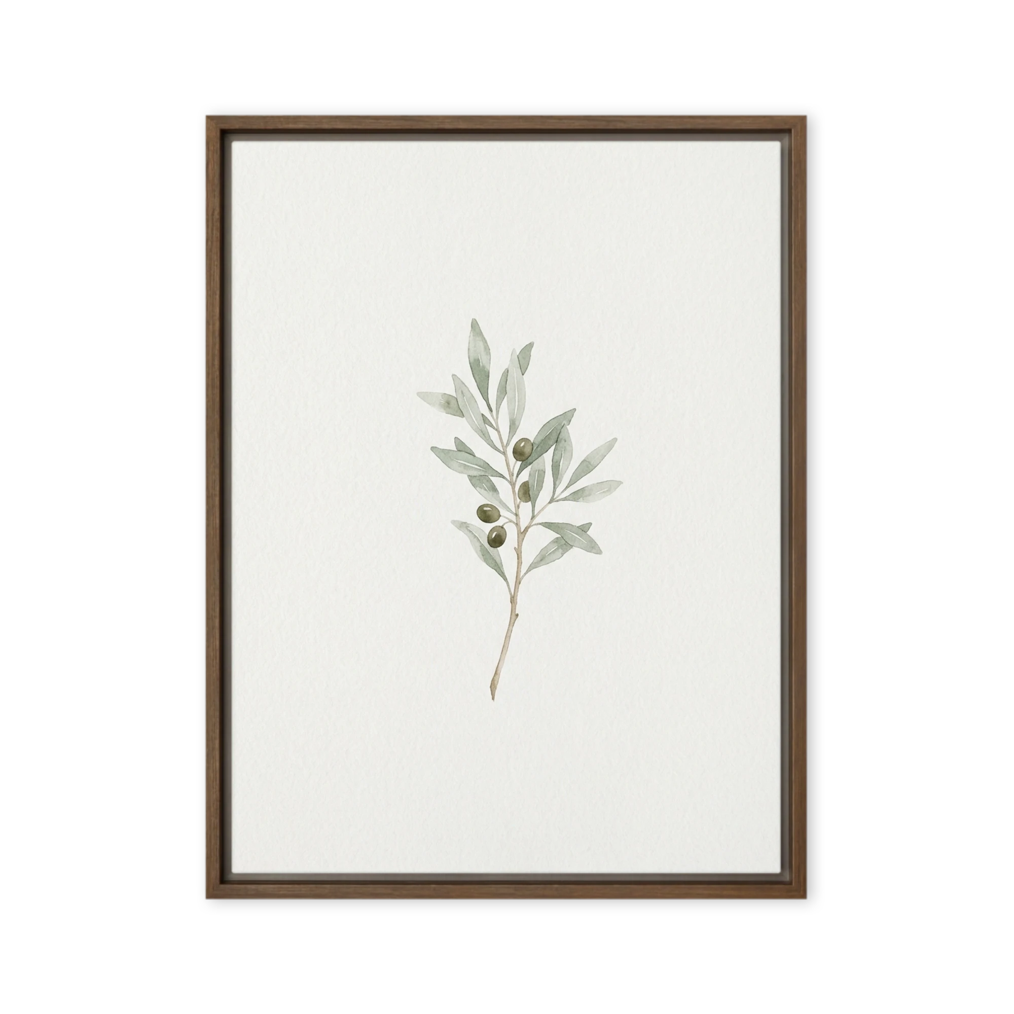 Olive Branch Watercolor
