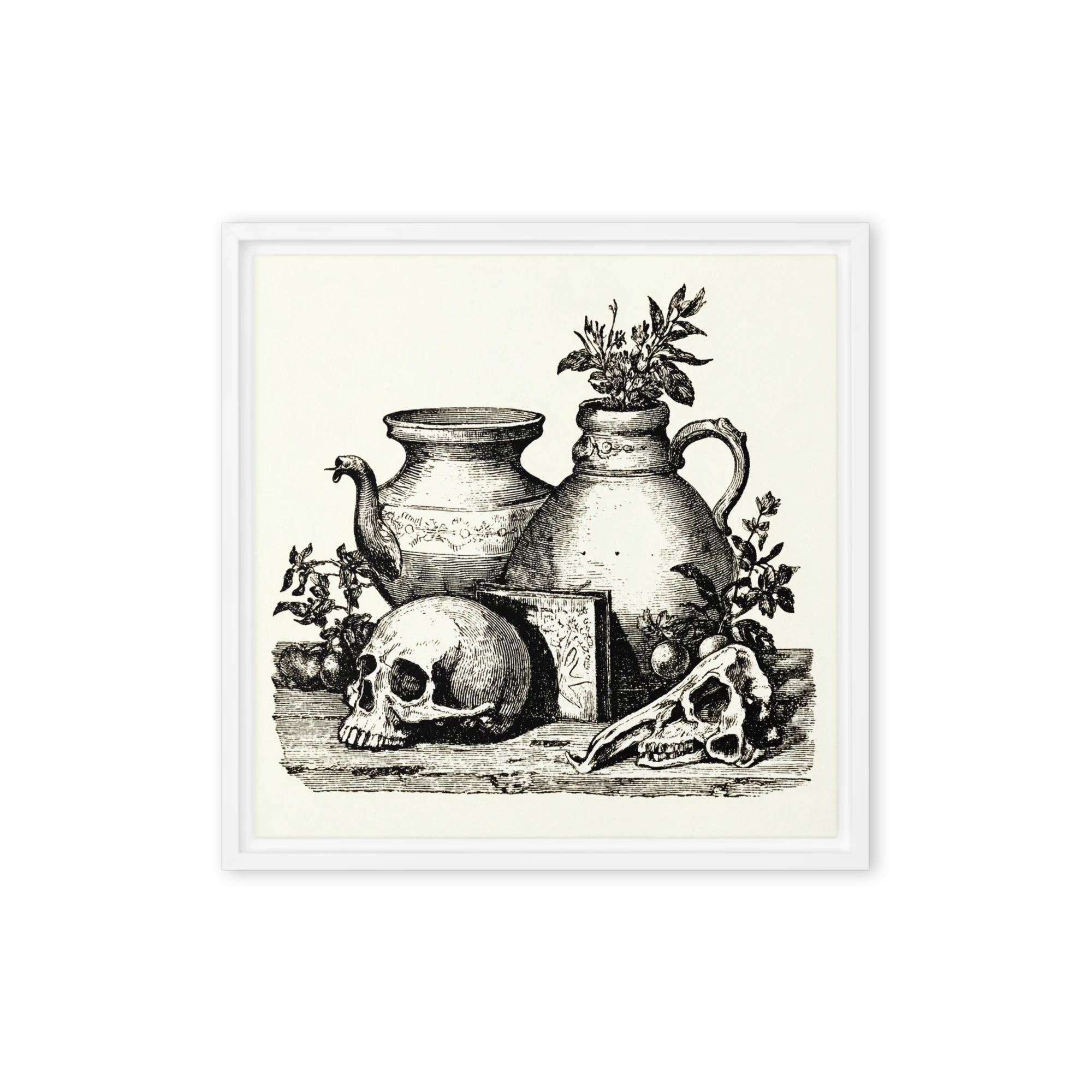 Vanitas Still Life with Skulls