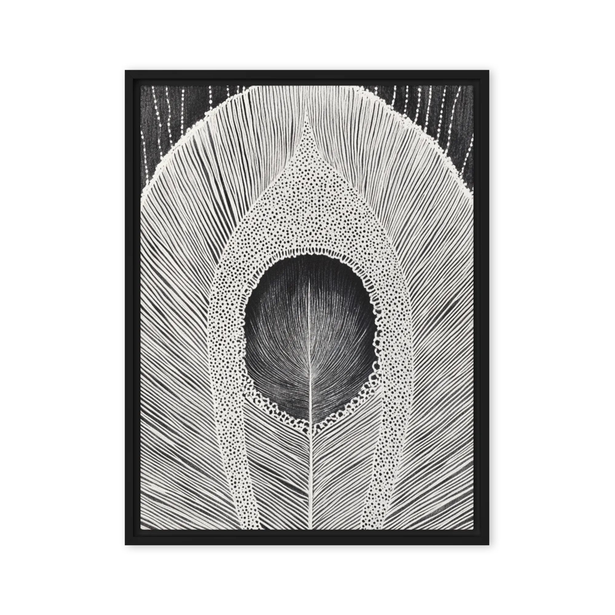 The Peacock's Eye