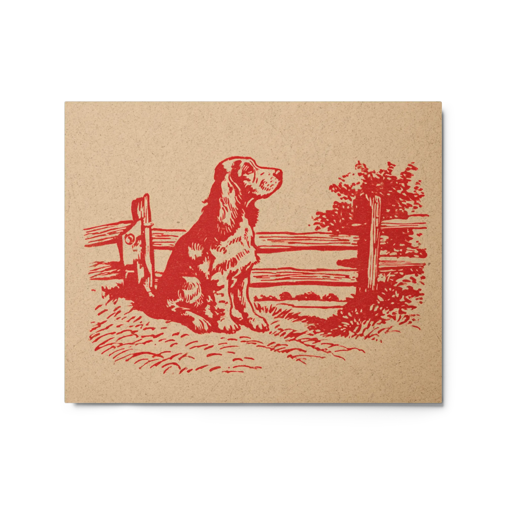 The Watchful Setter