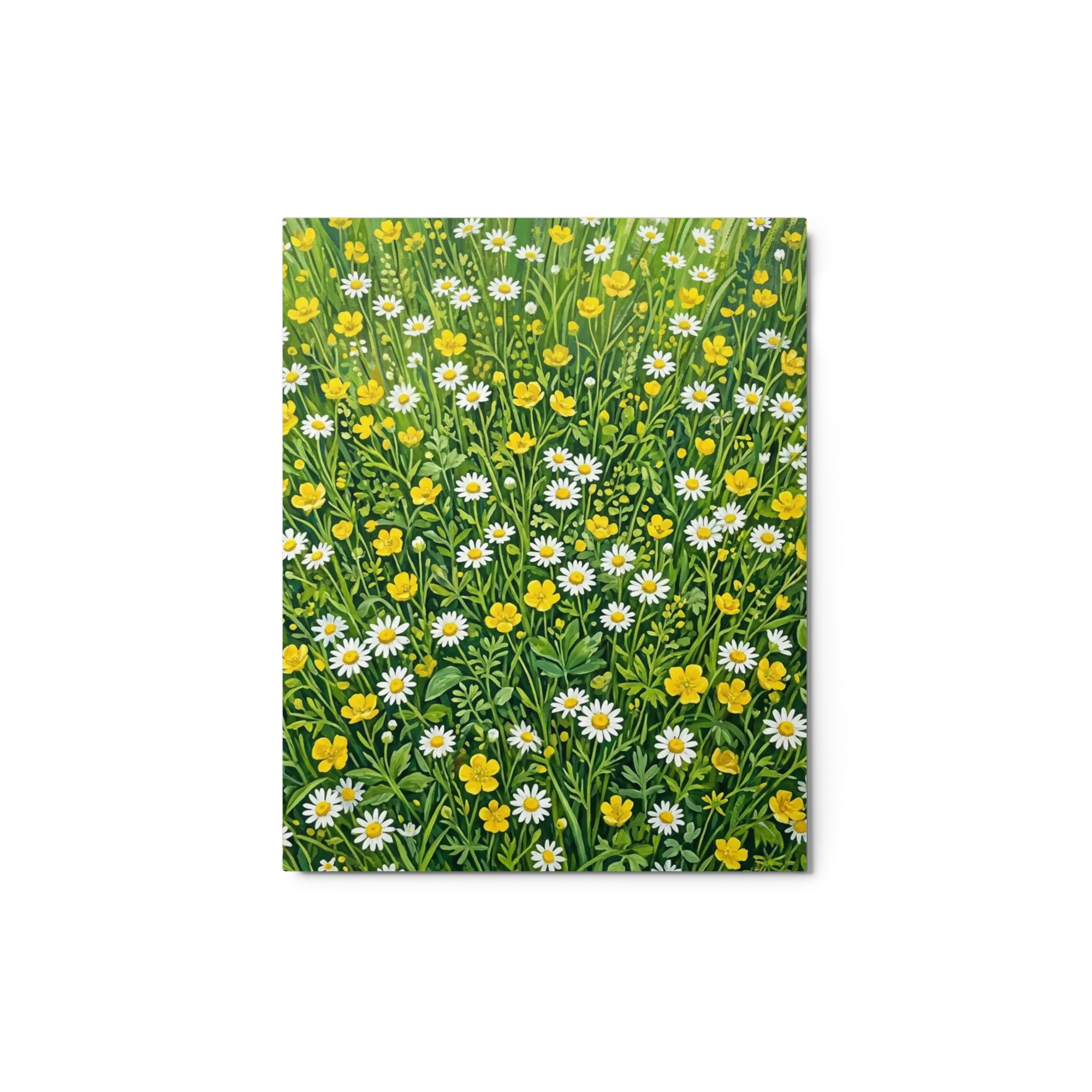 Meadow of Daisies and Buttercups