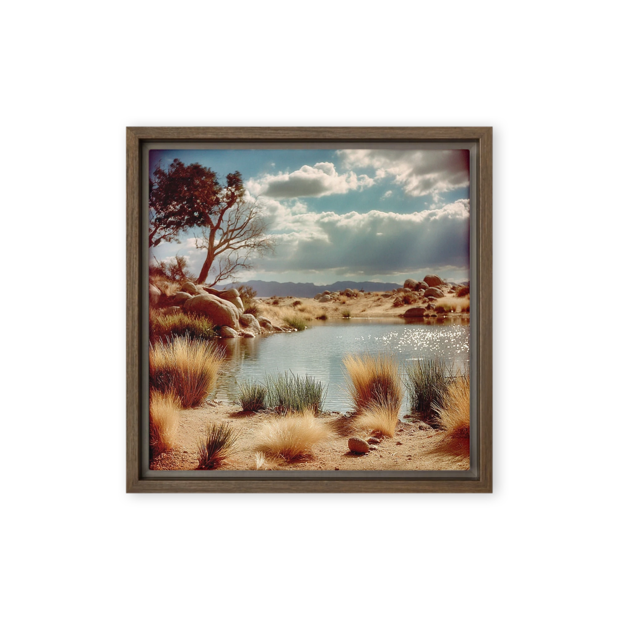 Desert Oasis Pond