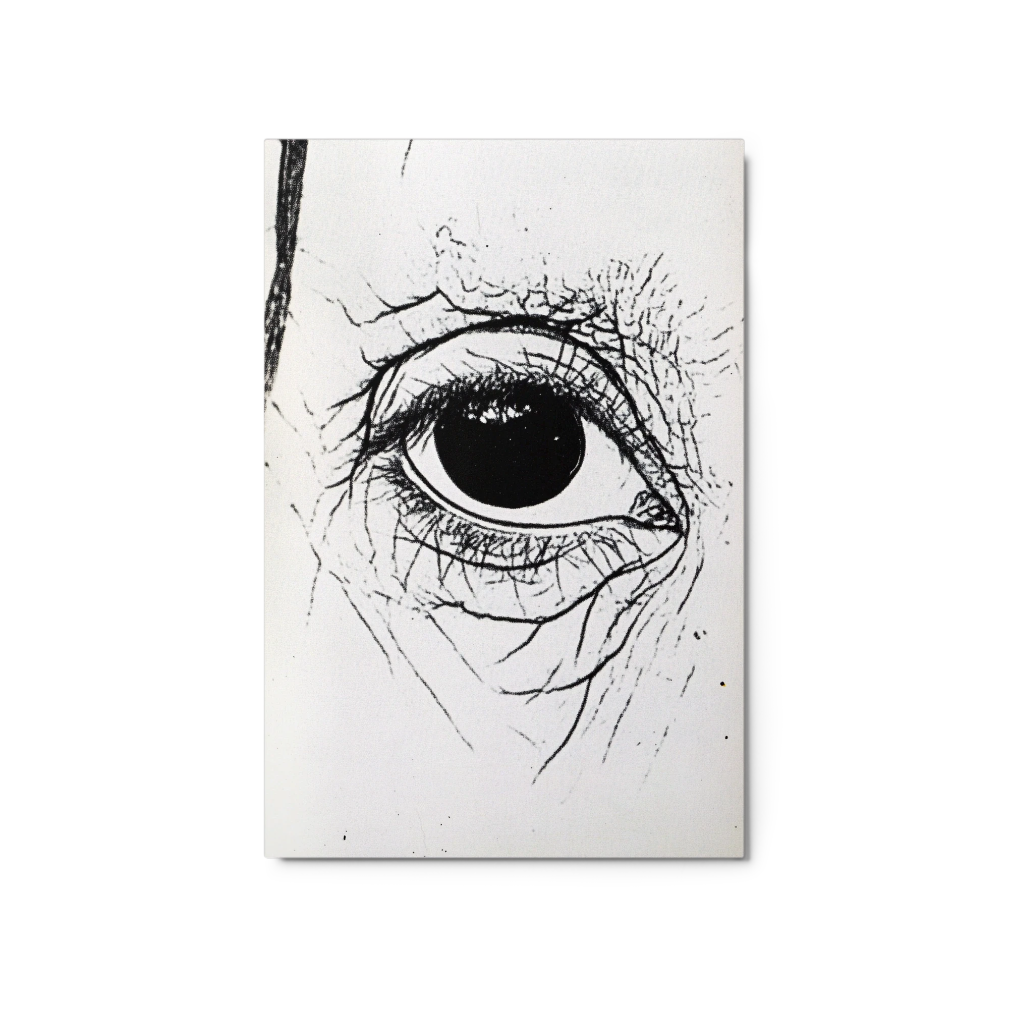 Detailed Drawing of a Human Eye