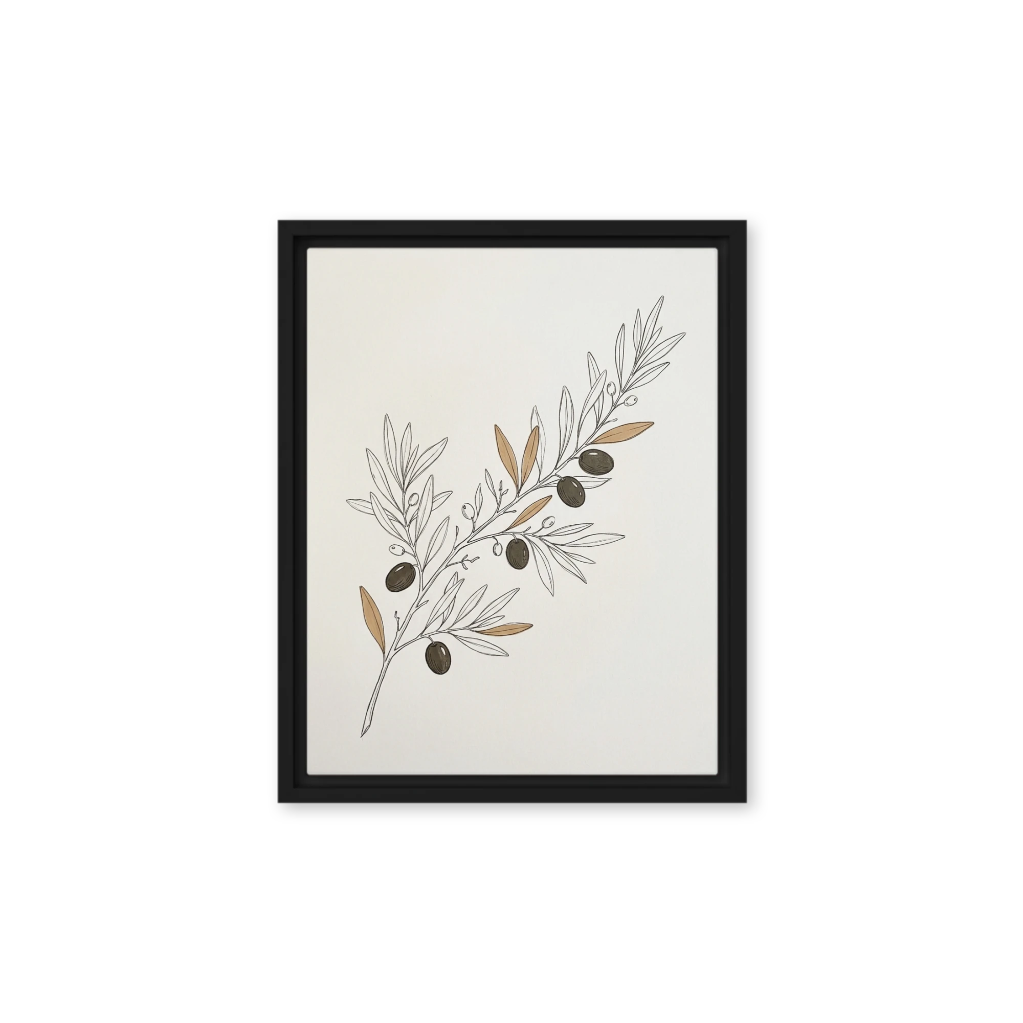 Olive Branch