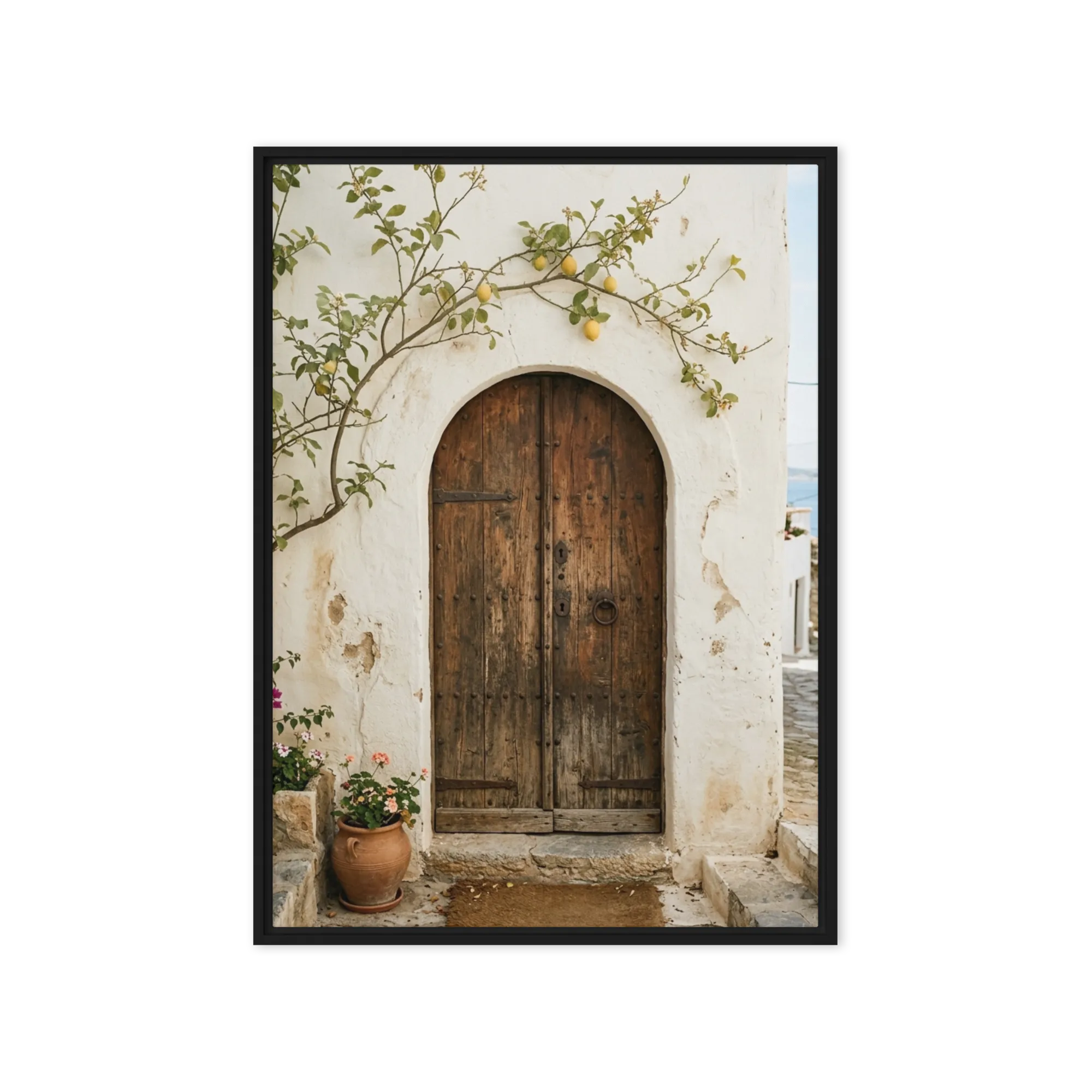 Lemon Tree Doorway 
 Metal Print | 16″x 20″