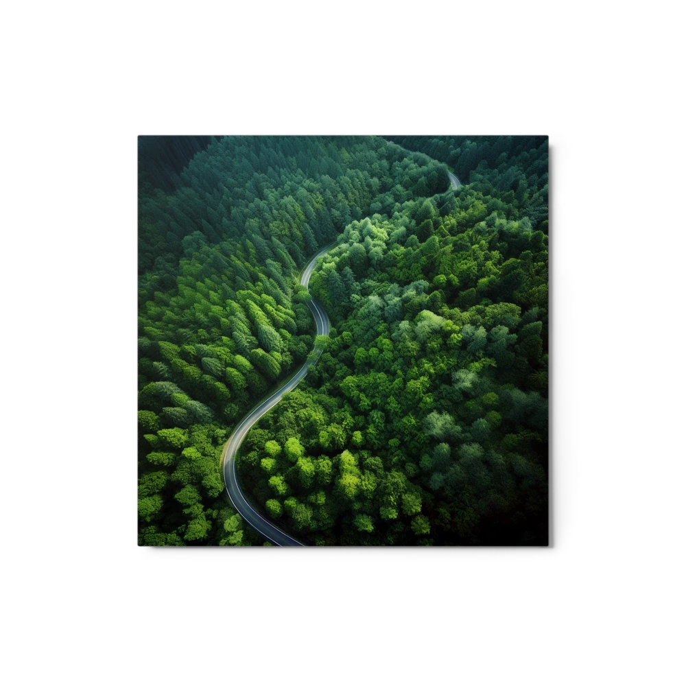 Winding Forest Road | Art Print