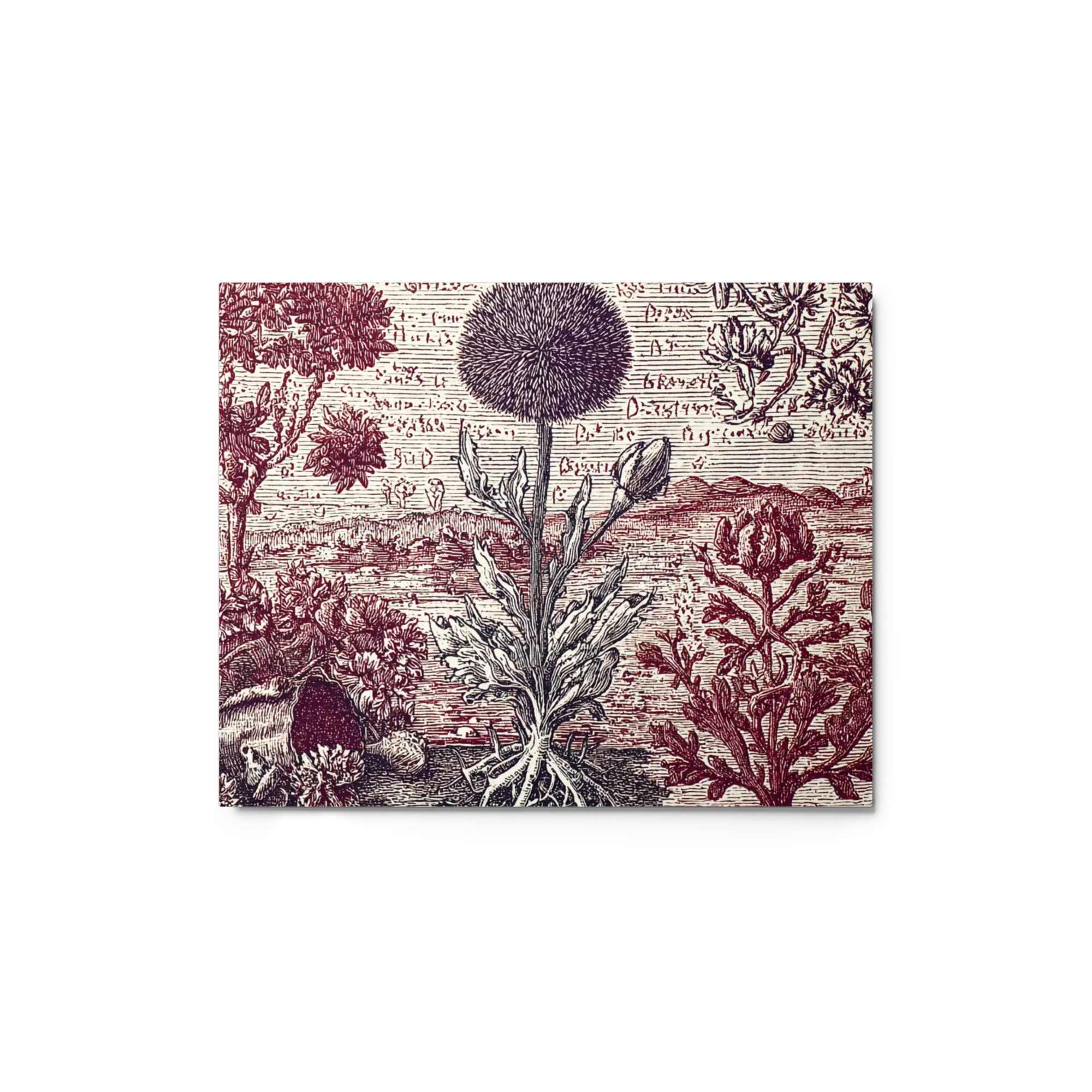 The Globe Thistle Study 
 Canvas | 24″x 30″