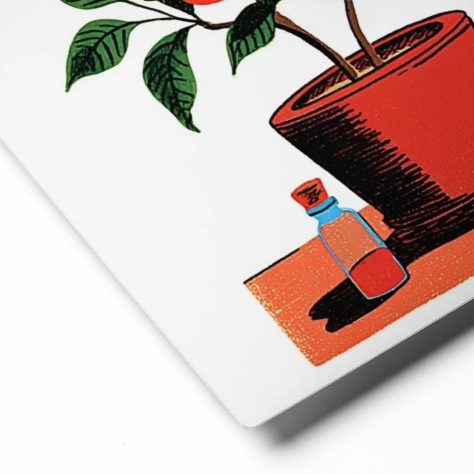 Orange Tree by the Window | Art Print