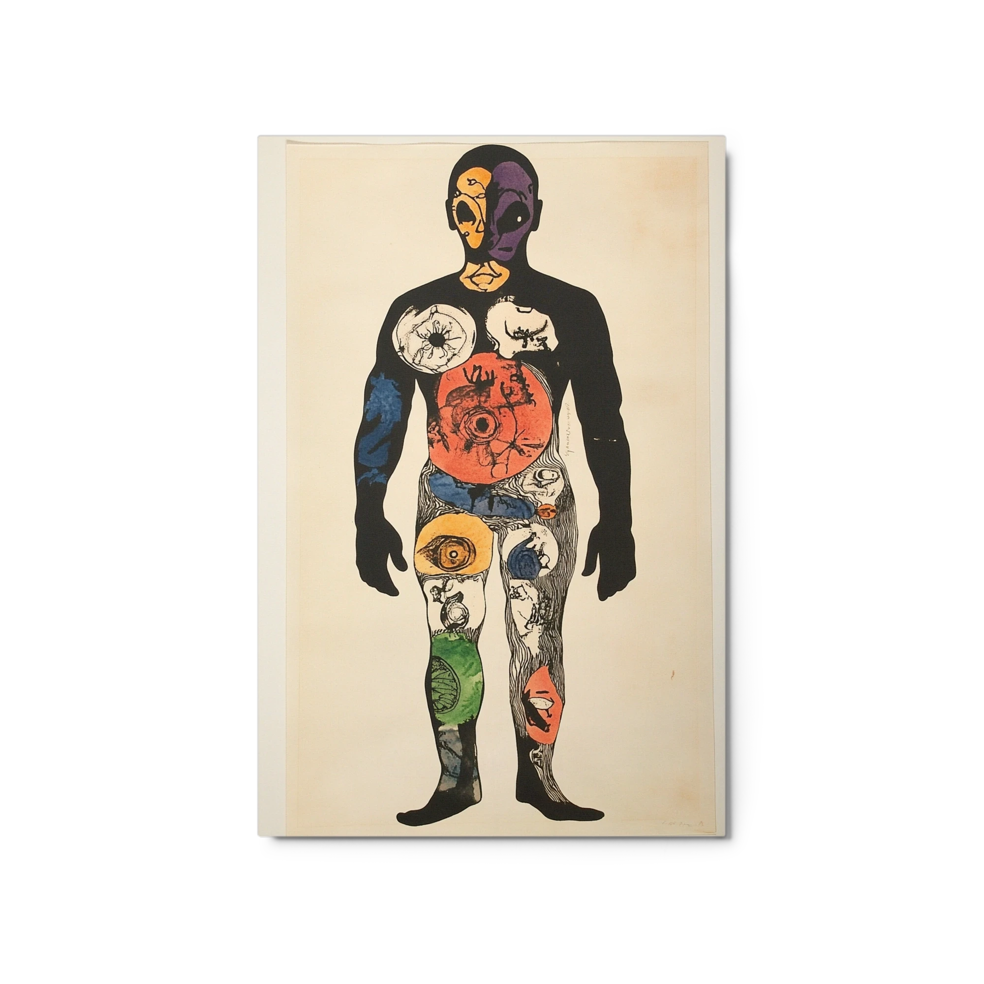 Anatomical Silhouette