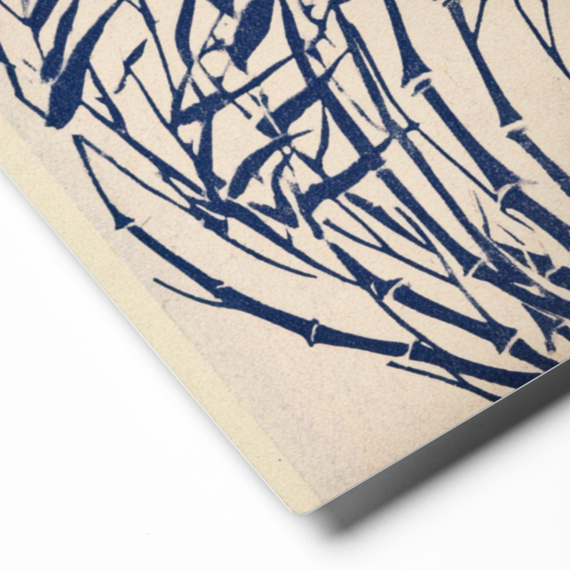 Bamboo in the Wind | Art Print