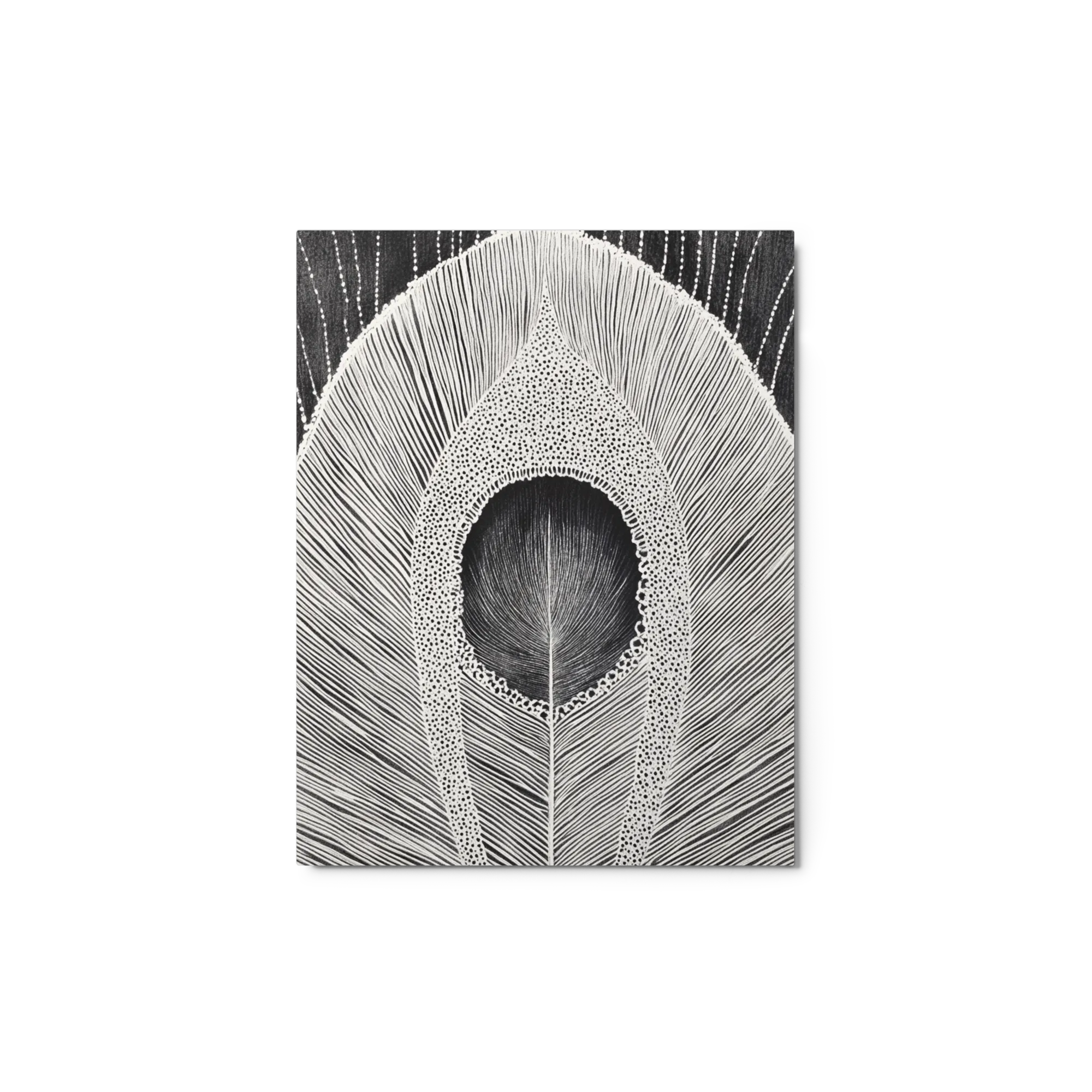 The Peacock's Eye