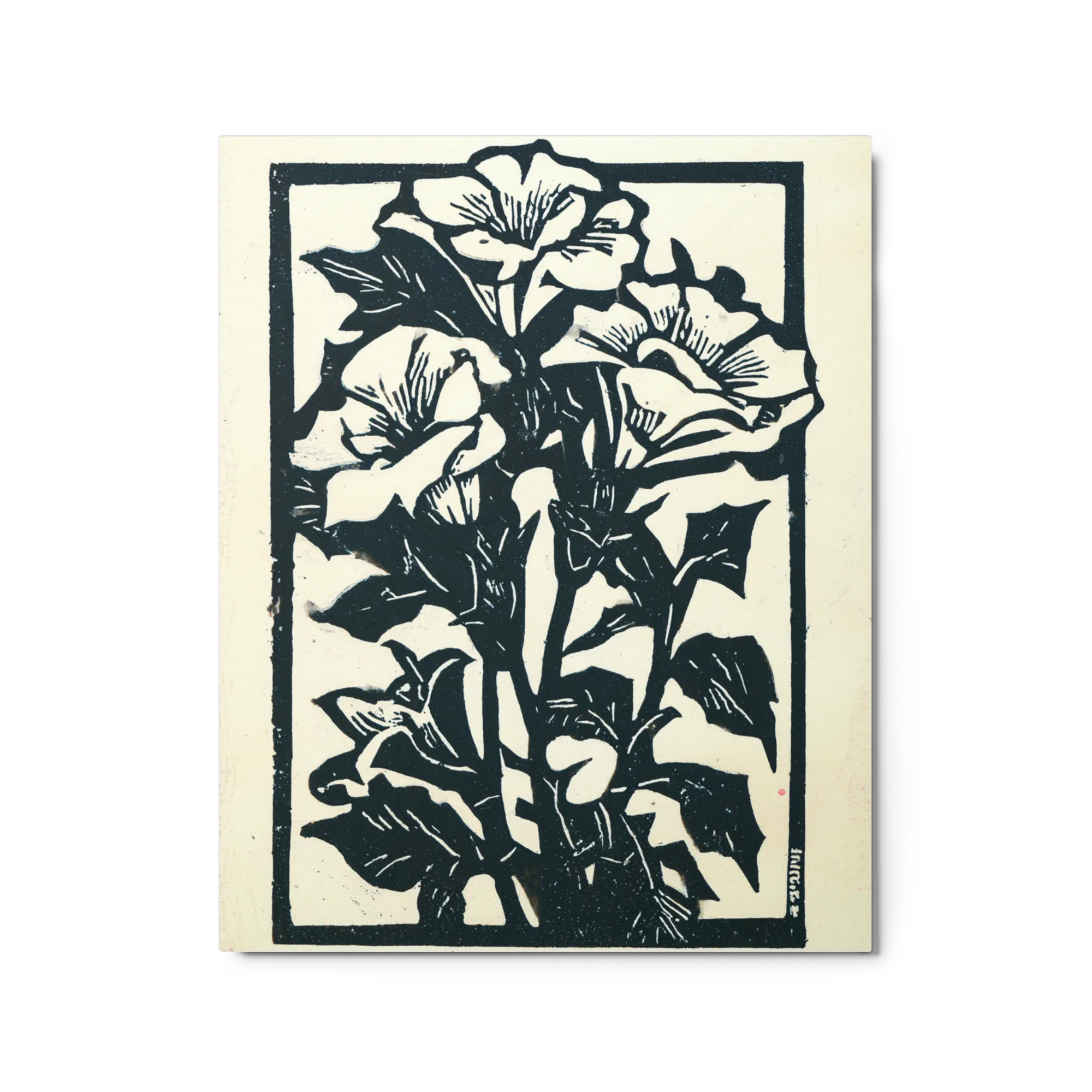 Morning Glory Woodcut