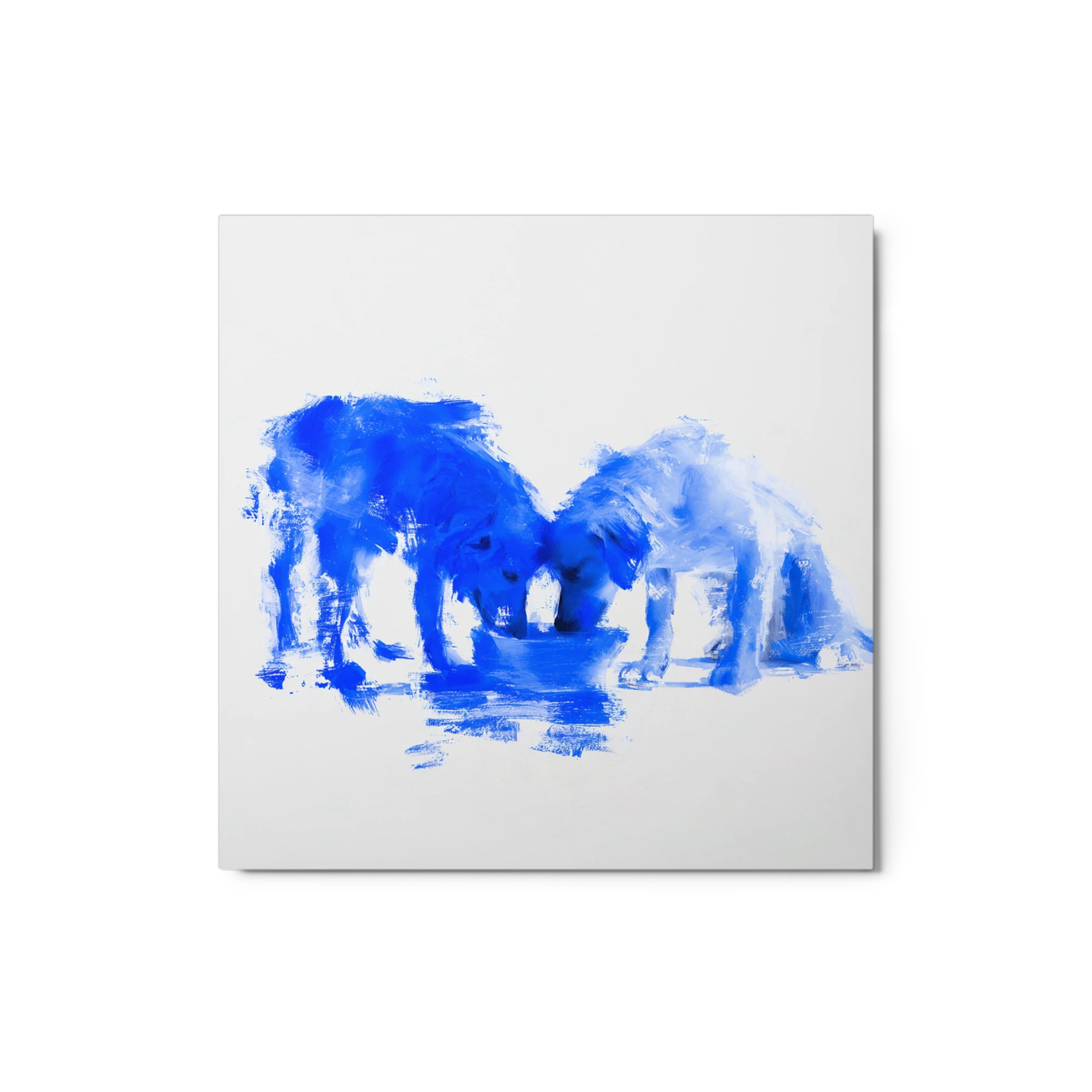 Cobalt Companions