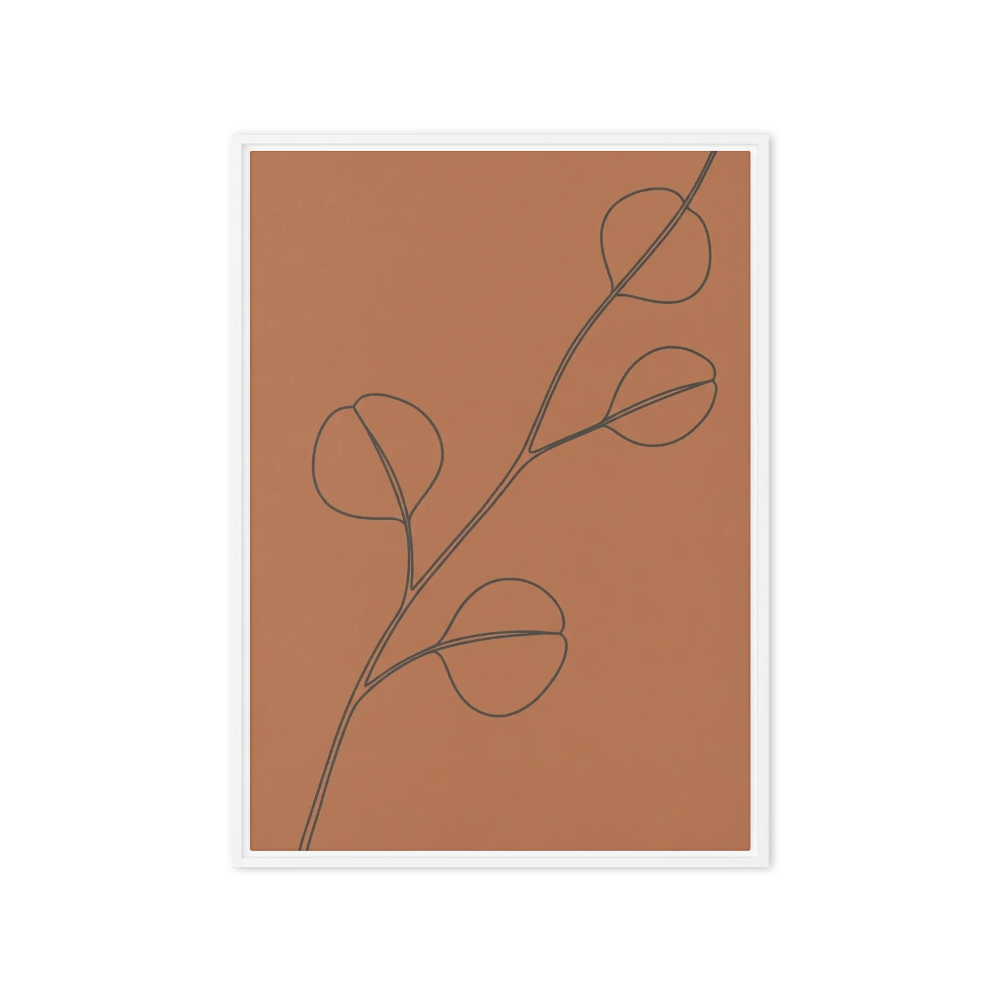 Terracotta Eucalyptus