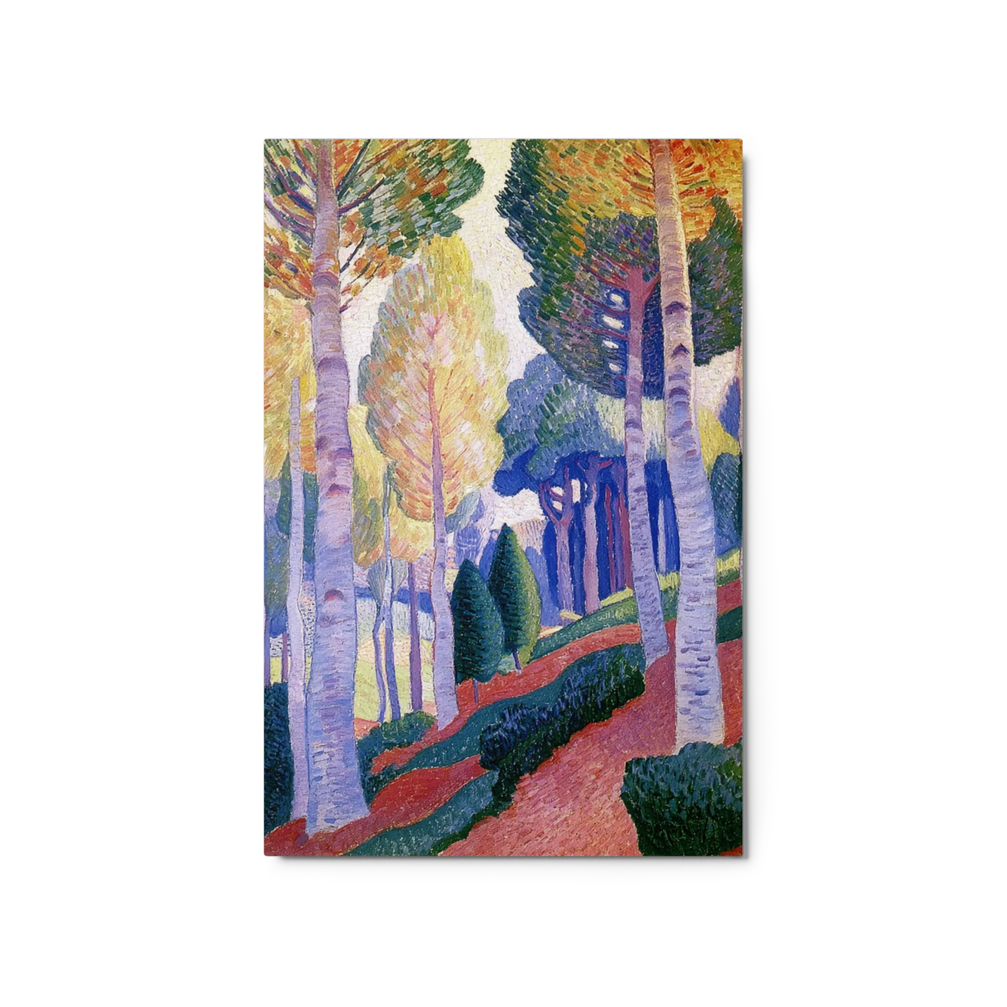 The Sunlit Grove