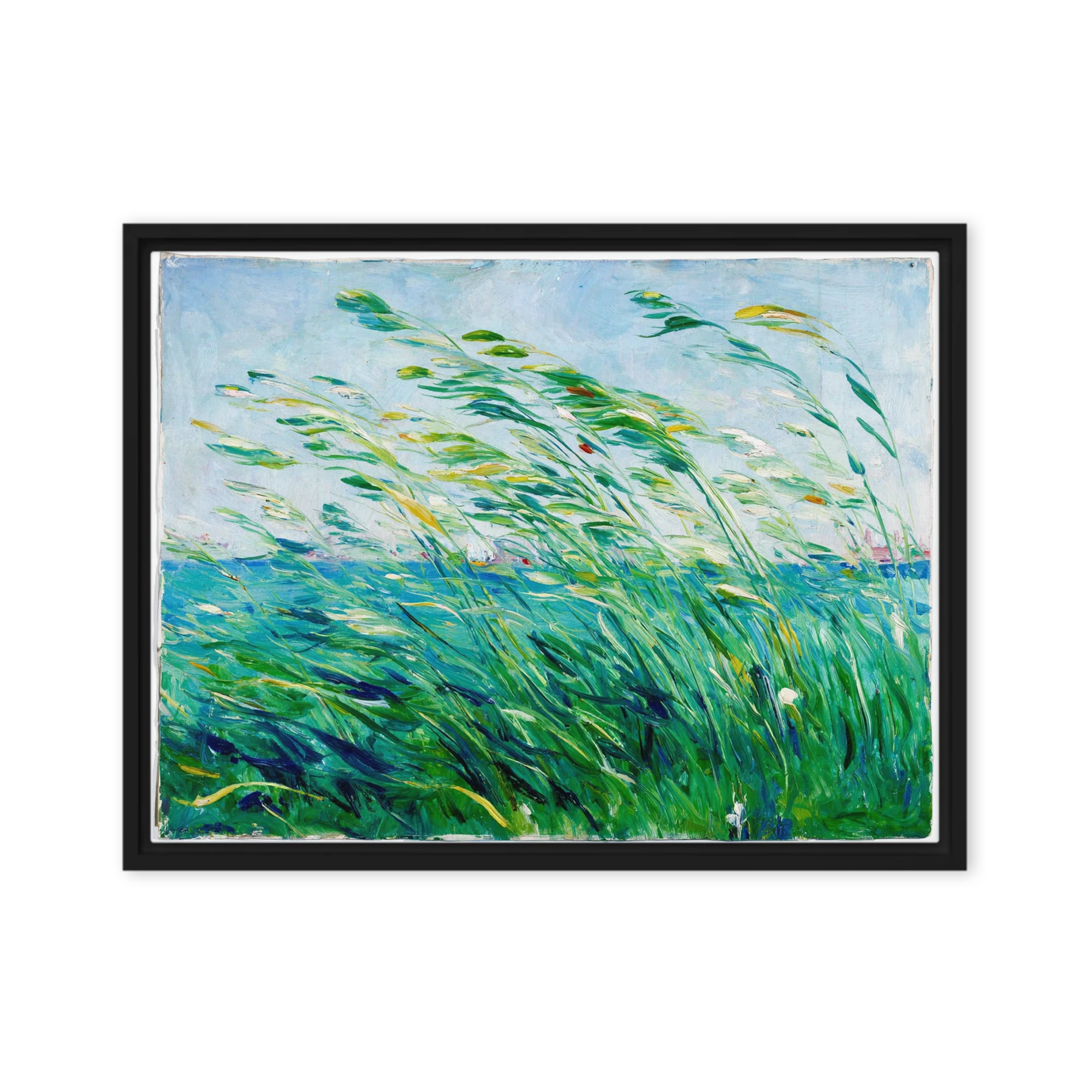 Grasses in the Wind