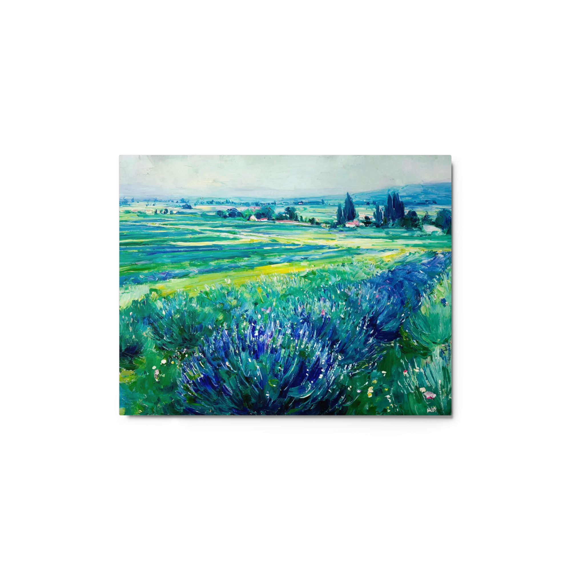 Fields of Provence