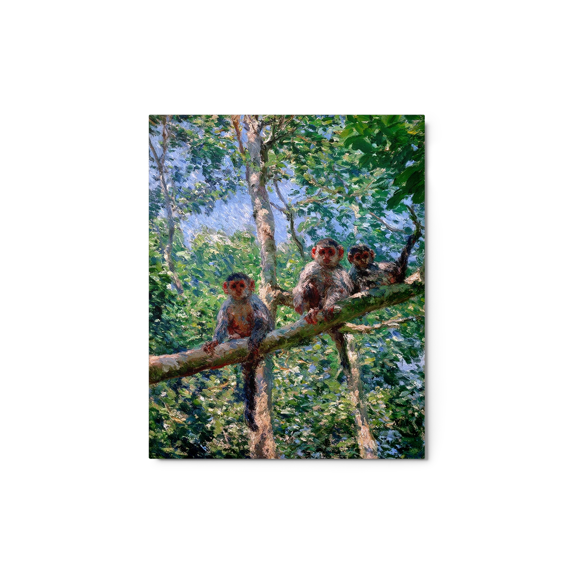 Three Monkeys in the Canopy