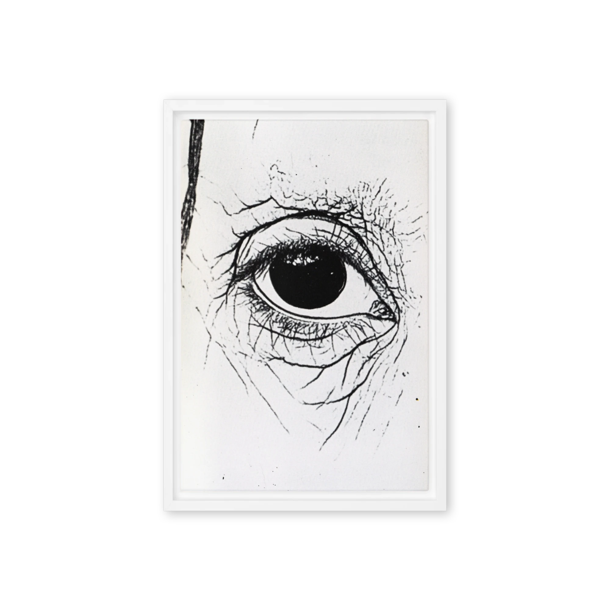 Intense Gaze | Art Print