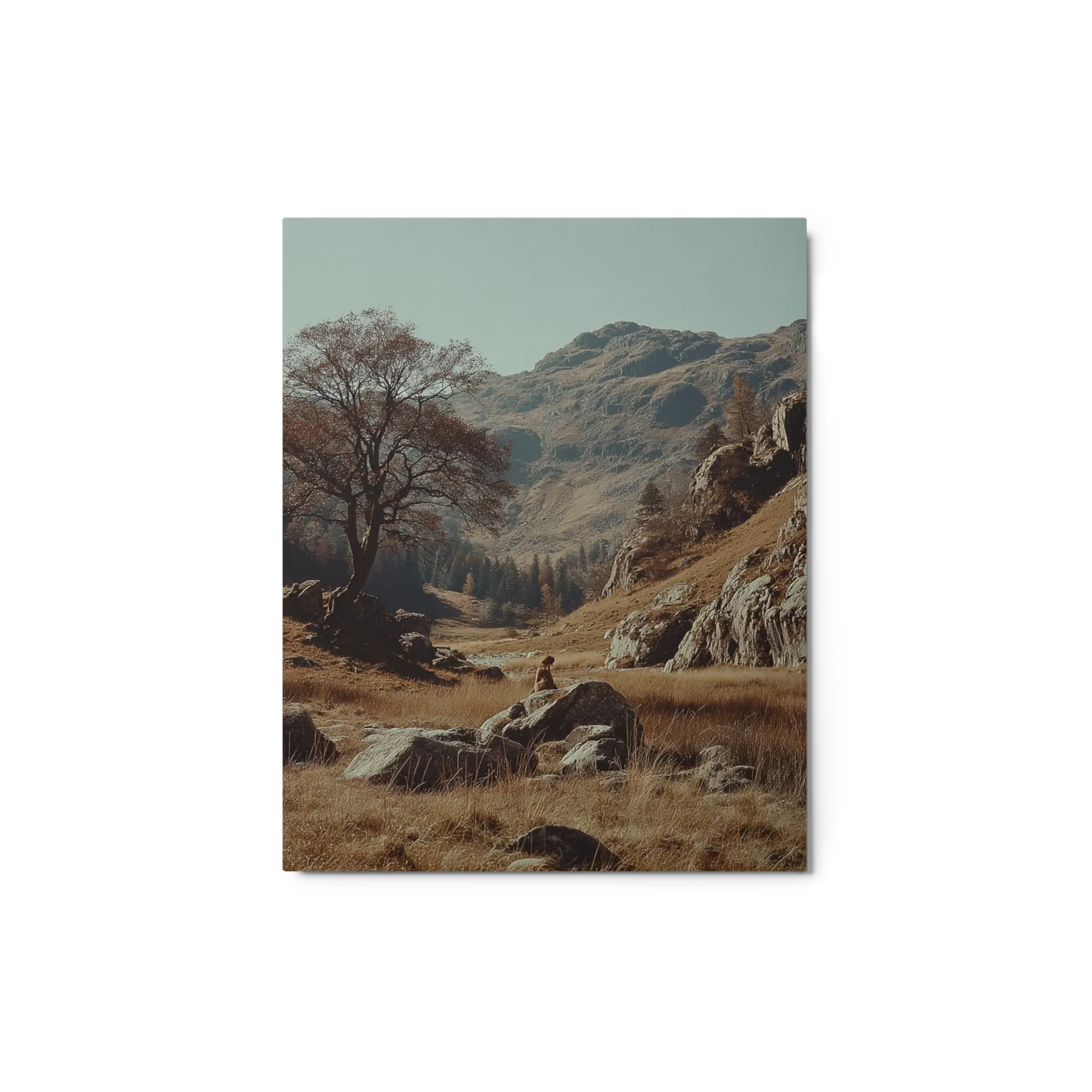 Lone Tree in Mountain Valley