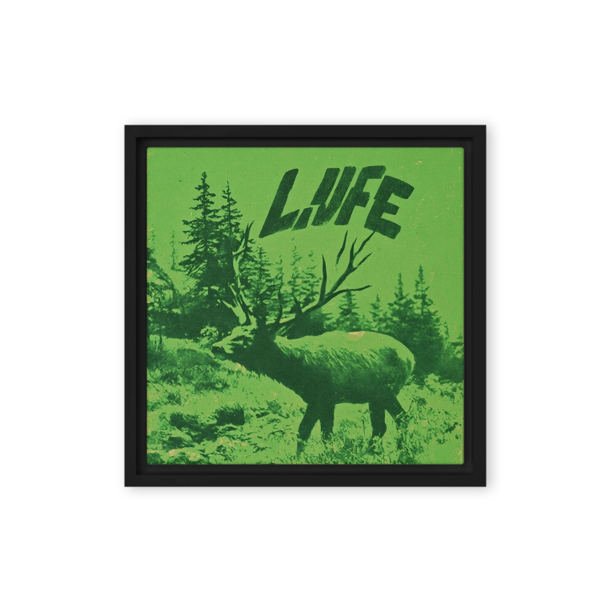 Green Stag Life