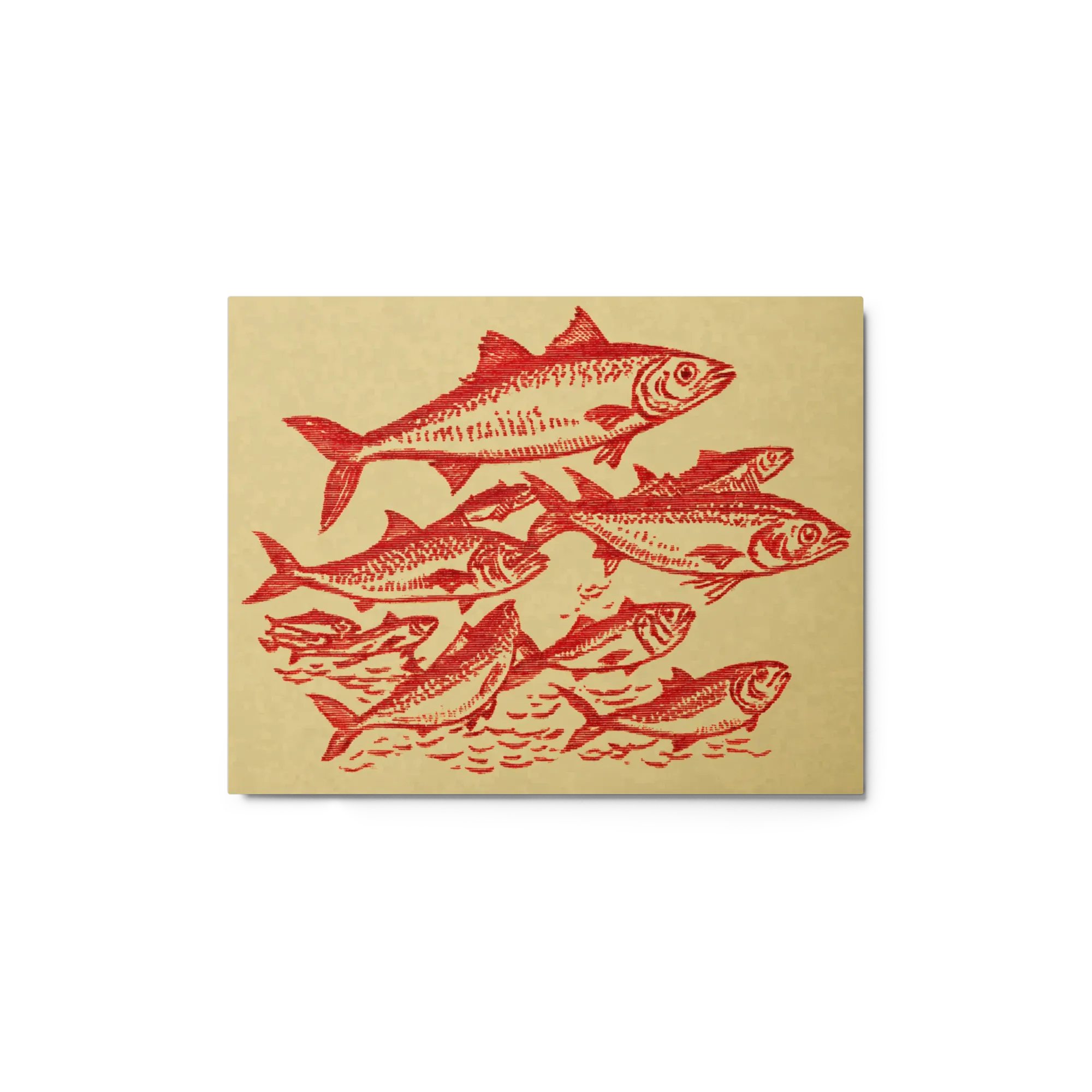 School of Red Fish