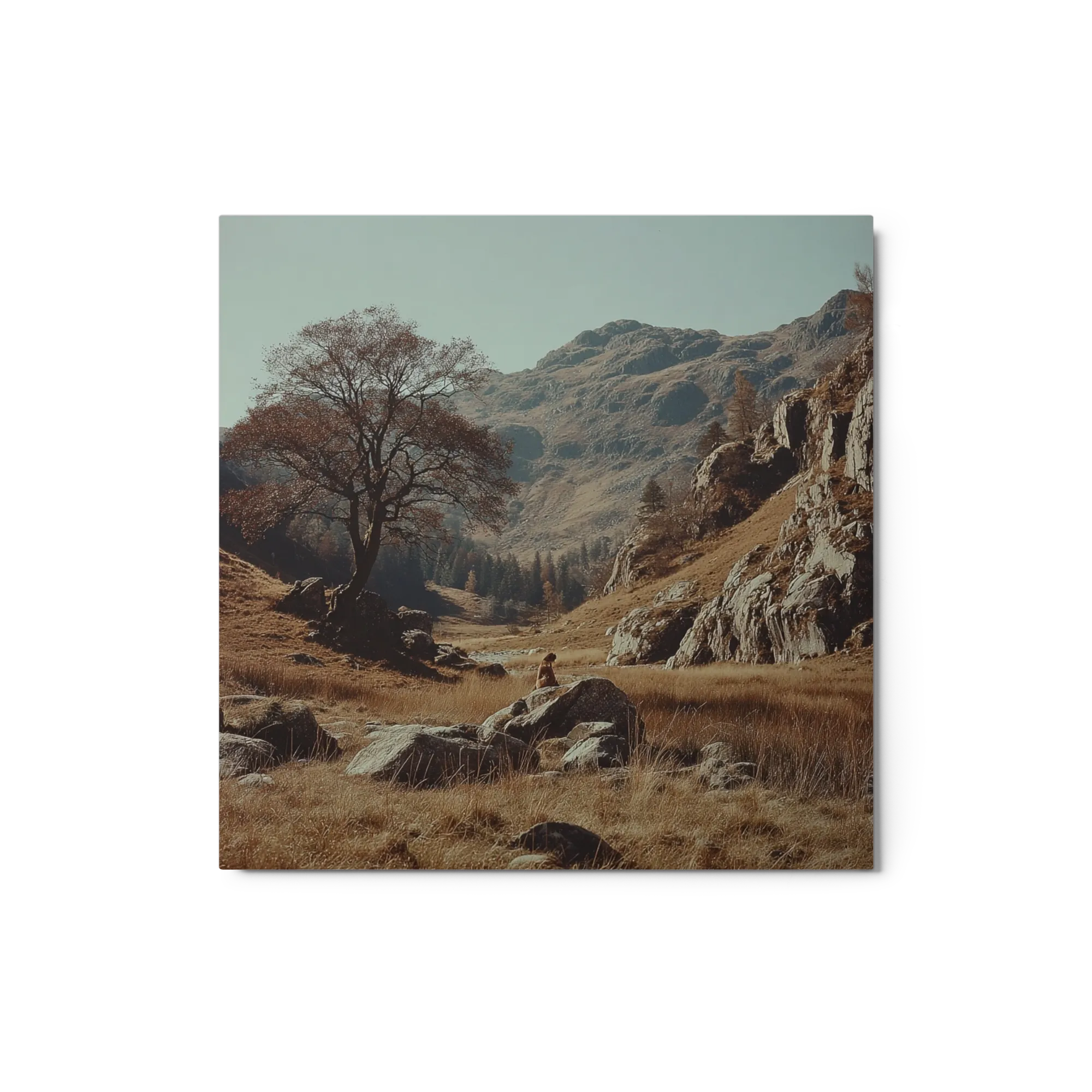 The Lonely Valley