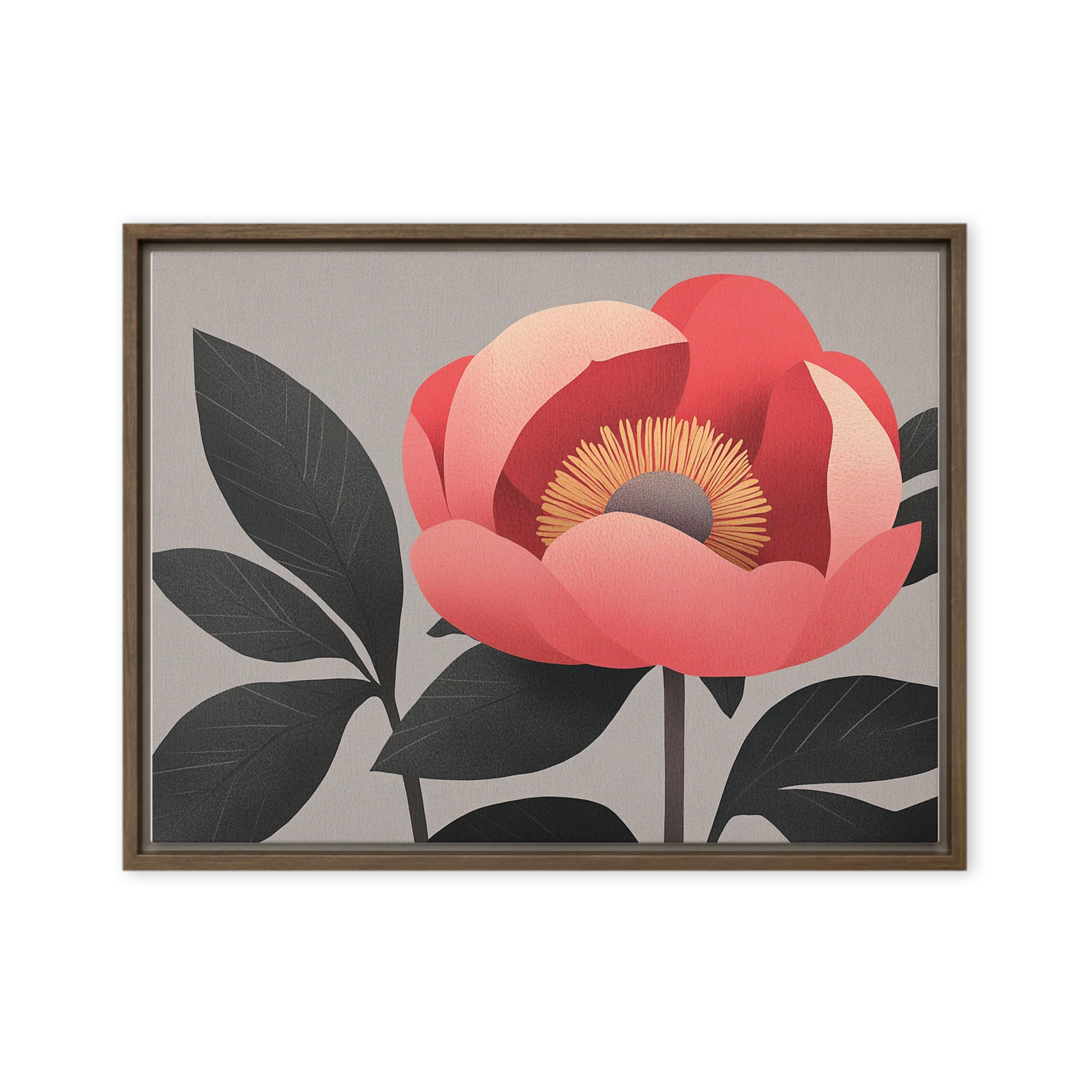 Coral Peony in Bloom