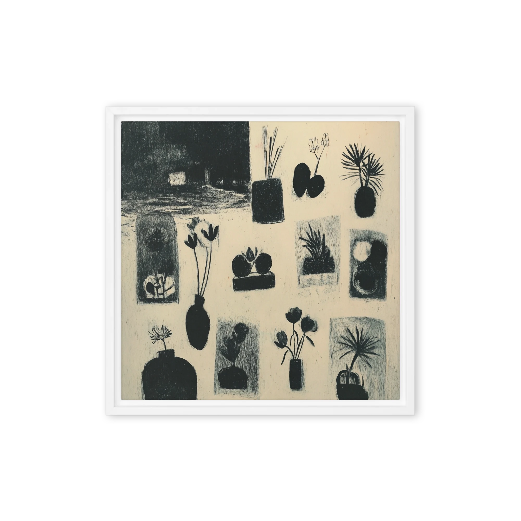 Botanical Plant Studies